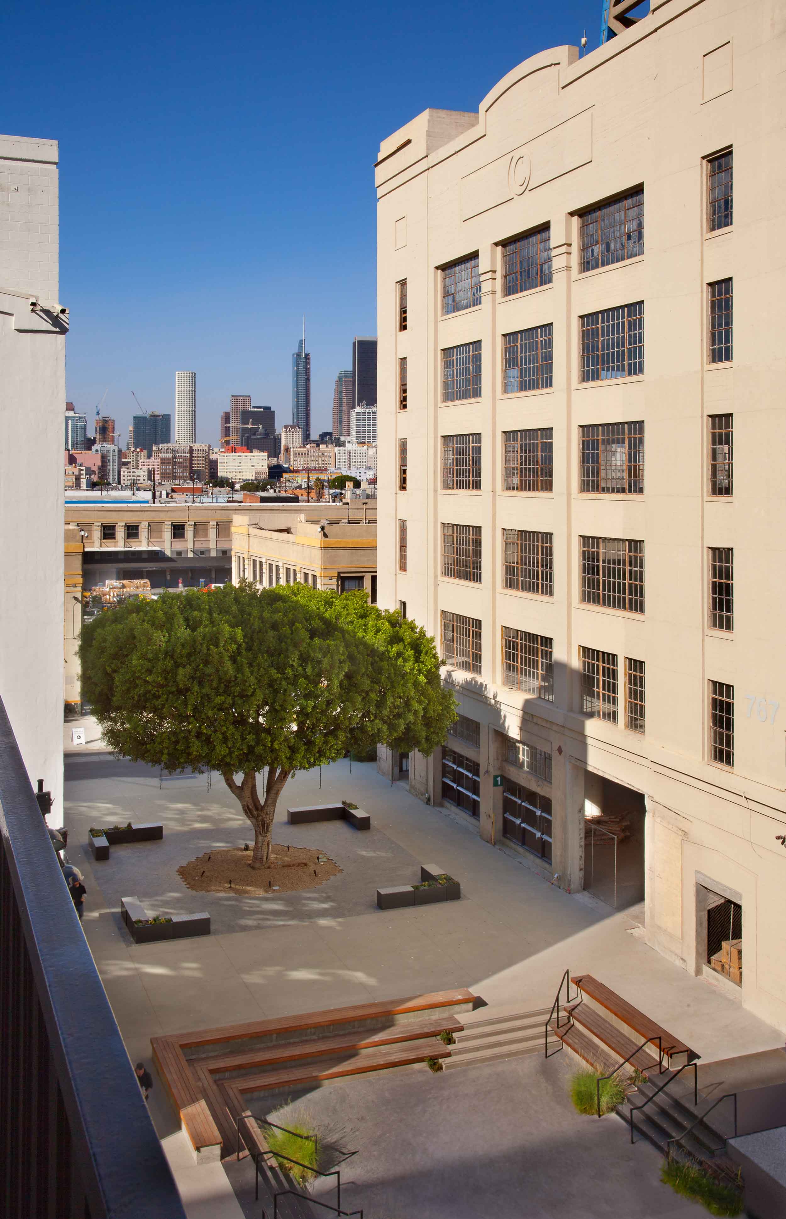 overview of patio between two buildings and a large tree in the center