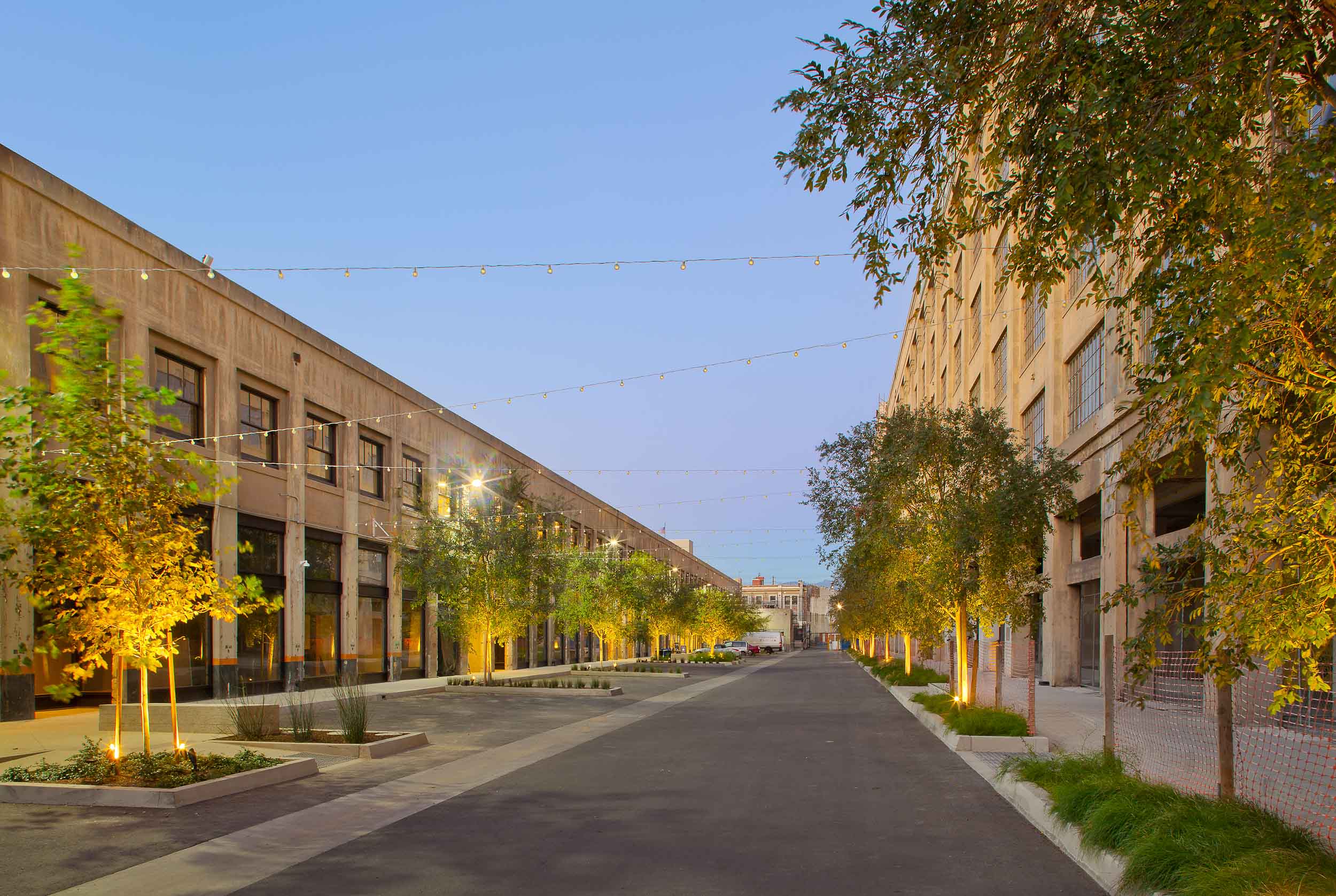 a street lined with trees and buildings