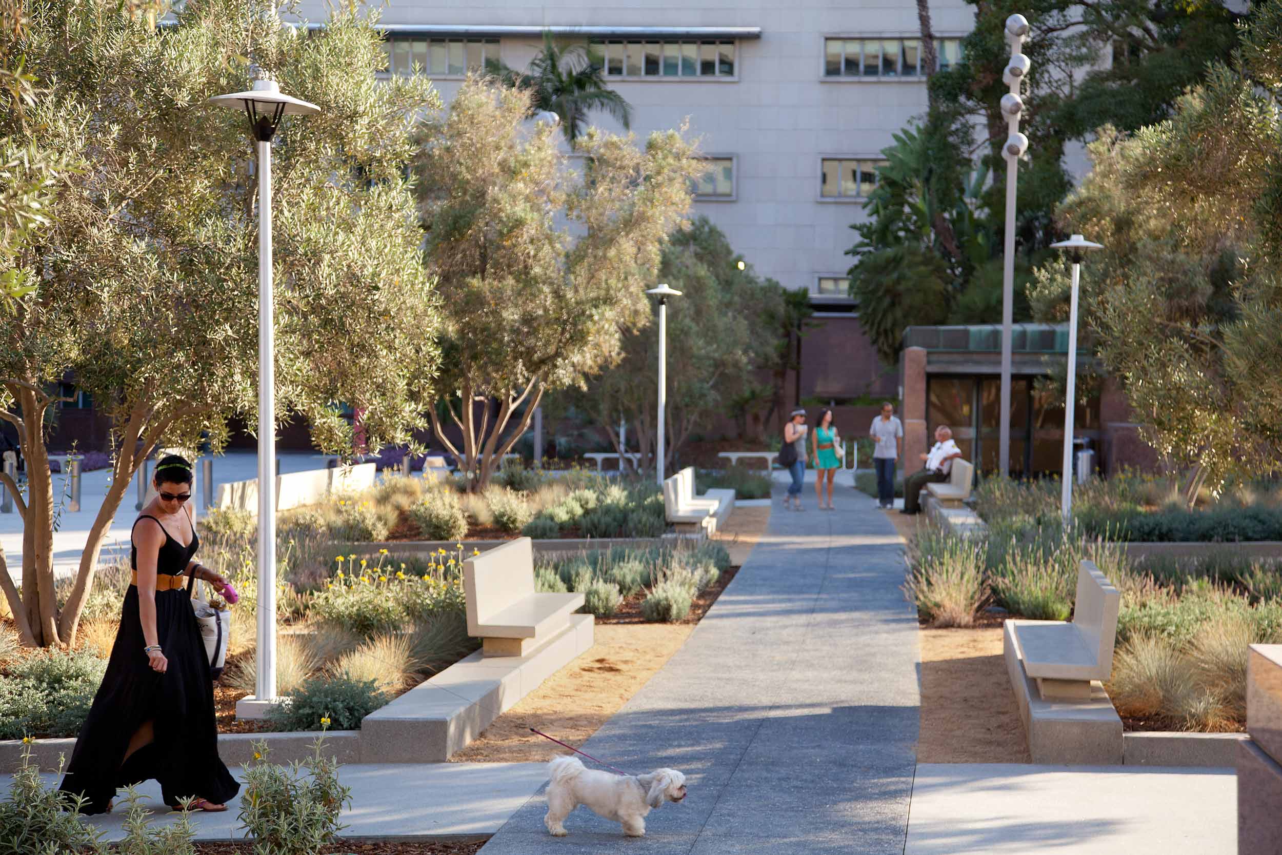 woman walking her dog along a verdant park path