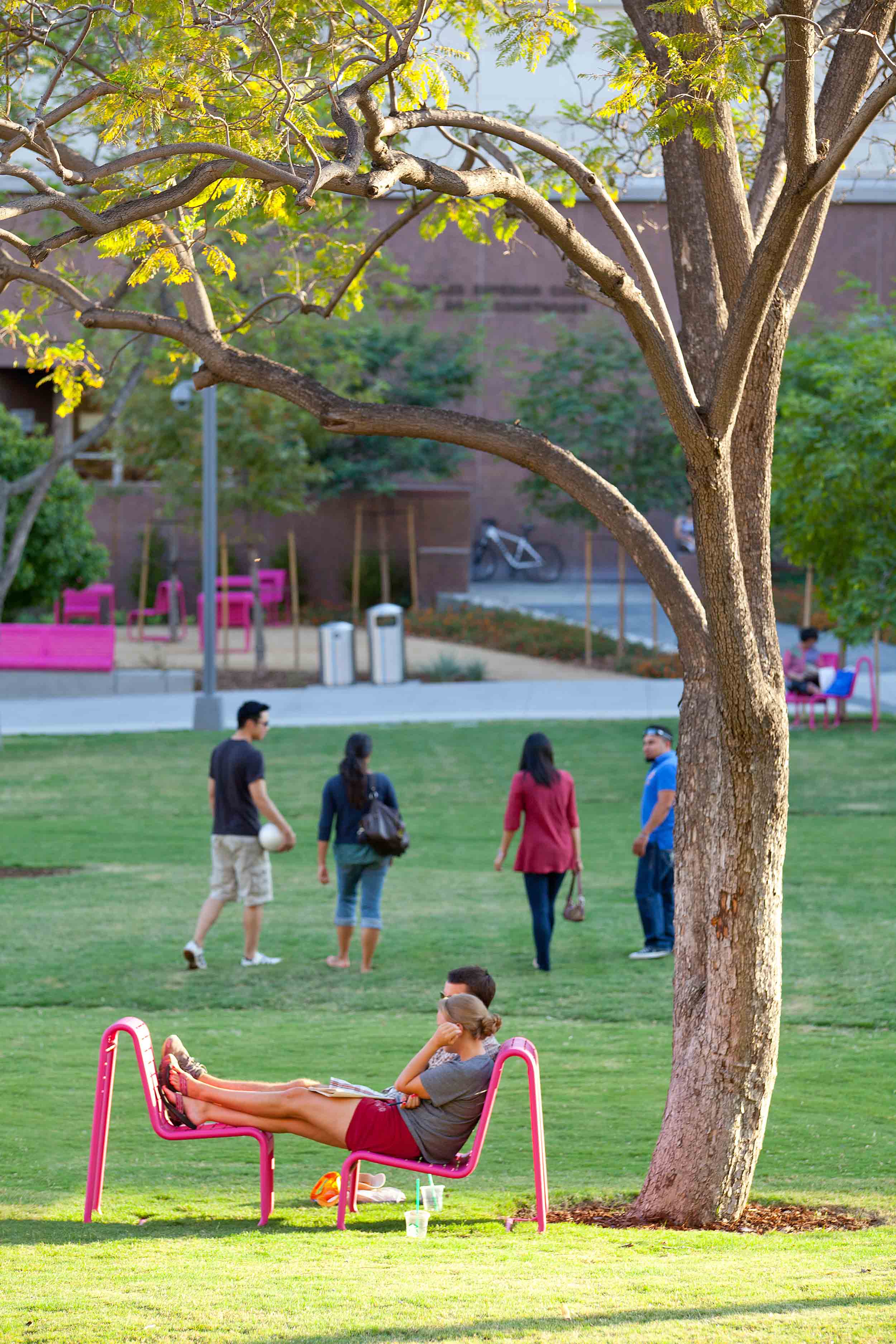 people seated in pink chairs under a tree on a grassy lawn with people walking in the background