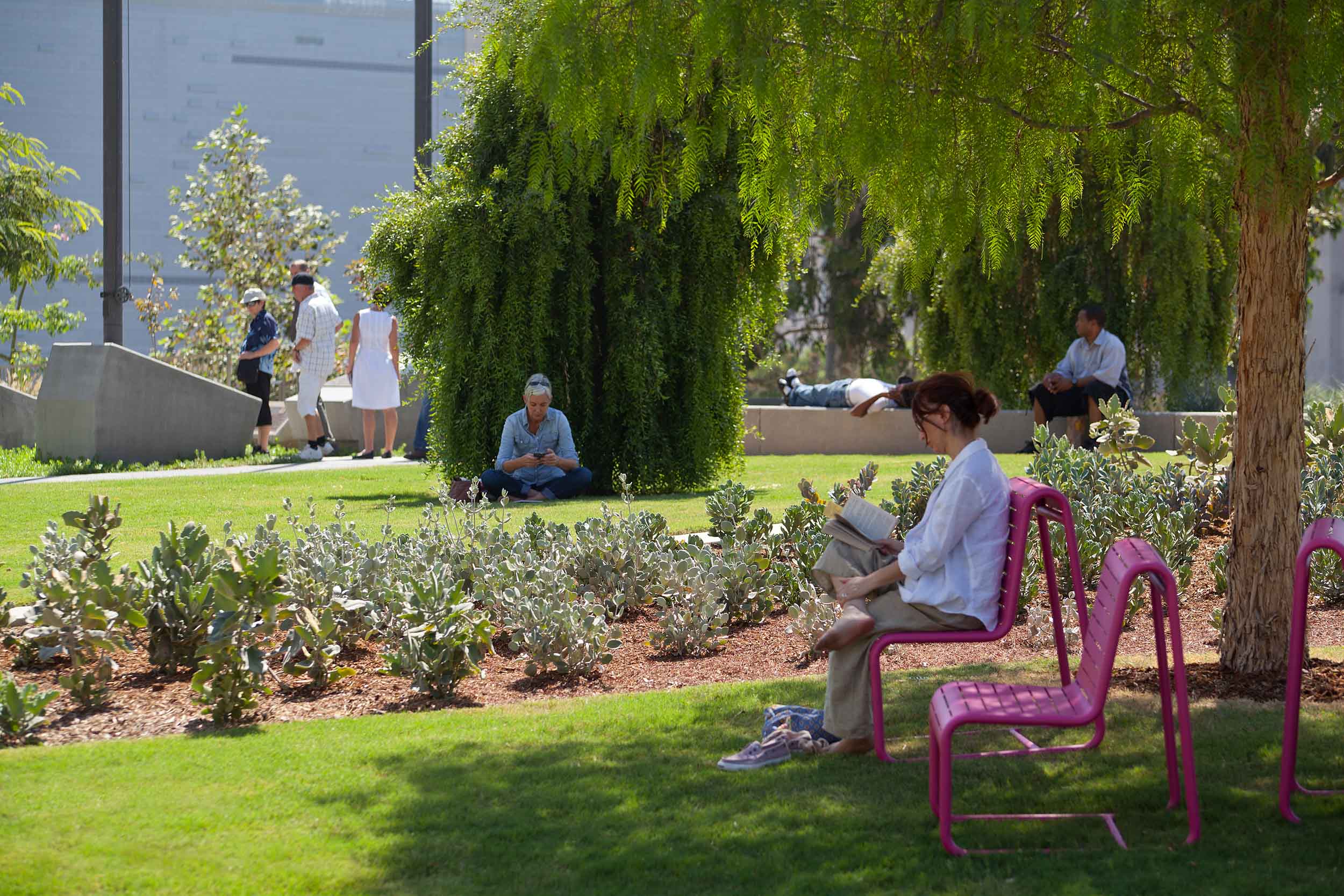 woman seated at a pink chair reading a book under a tree