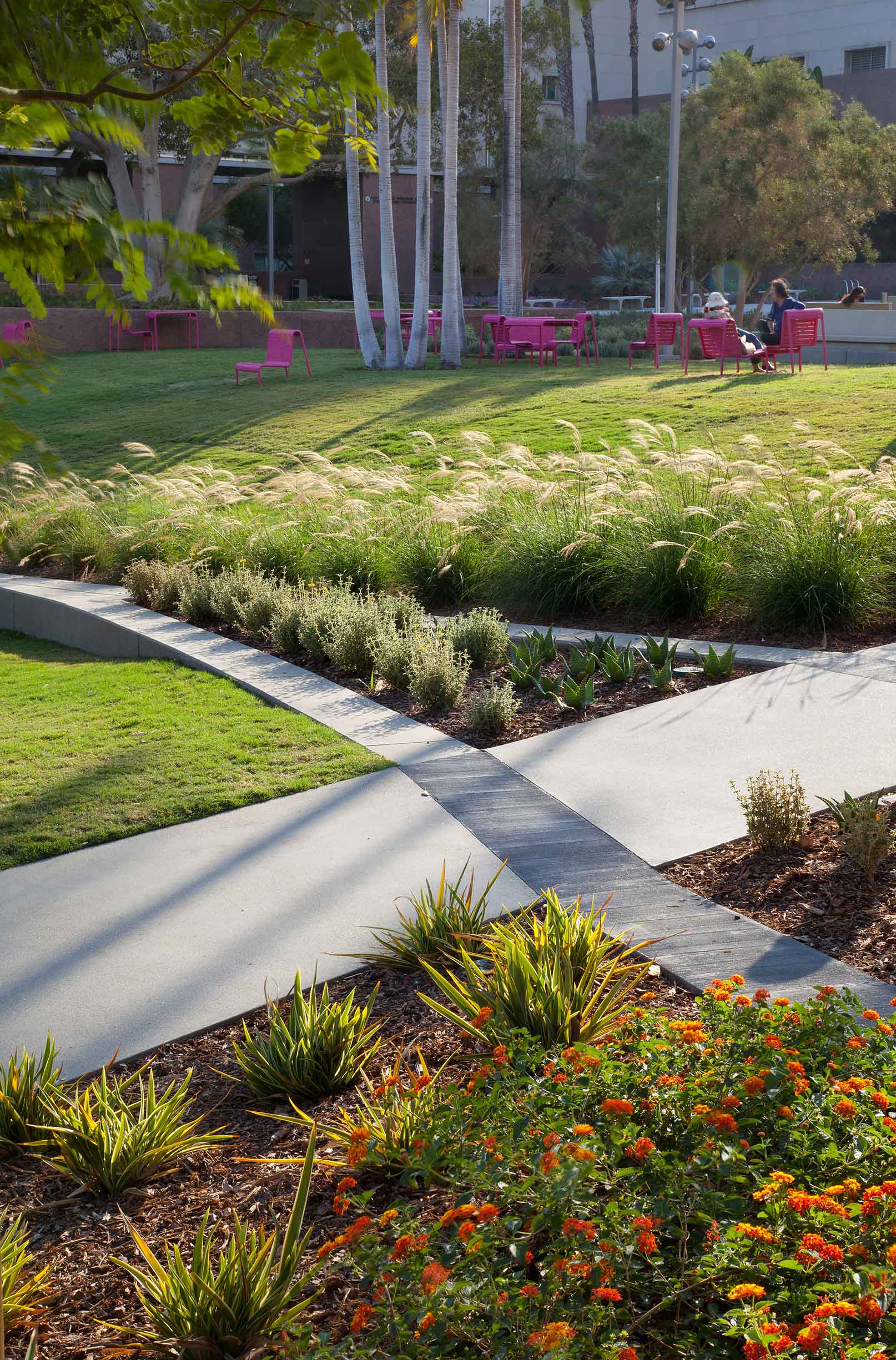 two intersecting paths with a lawn on either side, lush plants, and pink seating in the background