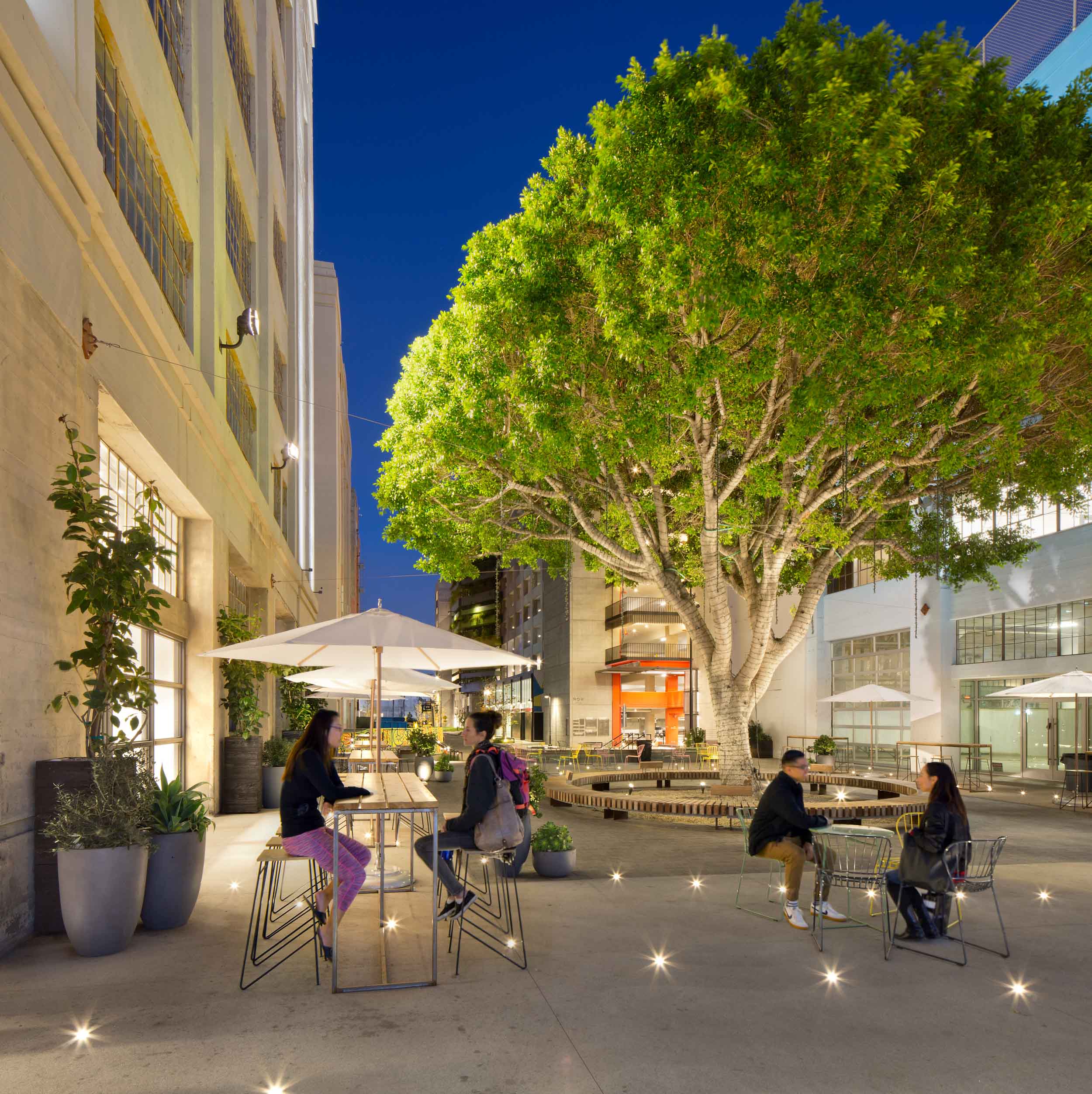 Large tree illuminated at night with people sitting at a table underneath