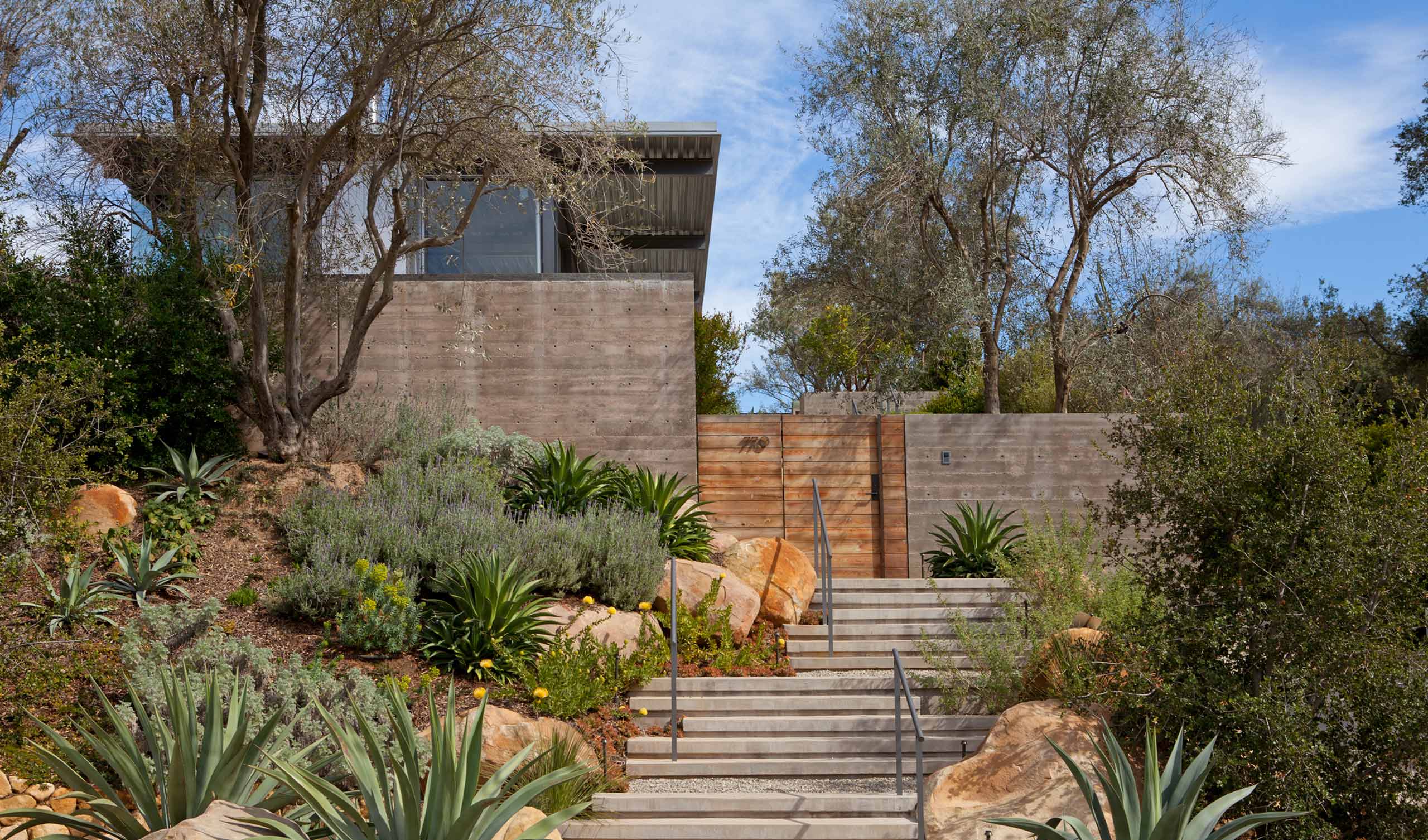 residence entrance with steps and desert planting