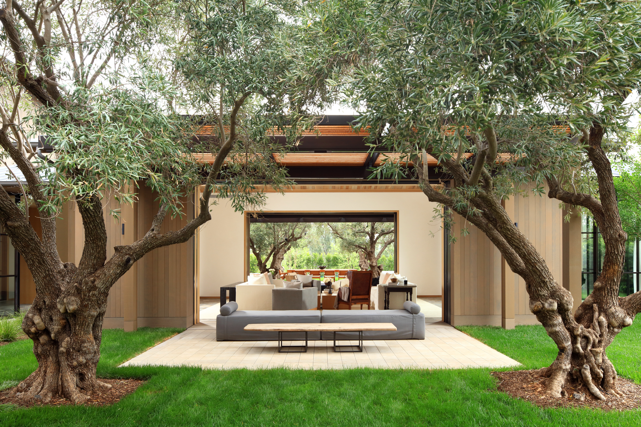 outdoor lounge area with couch under olive trees