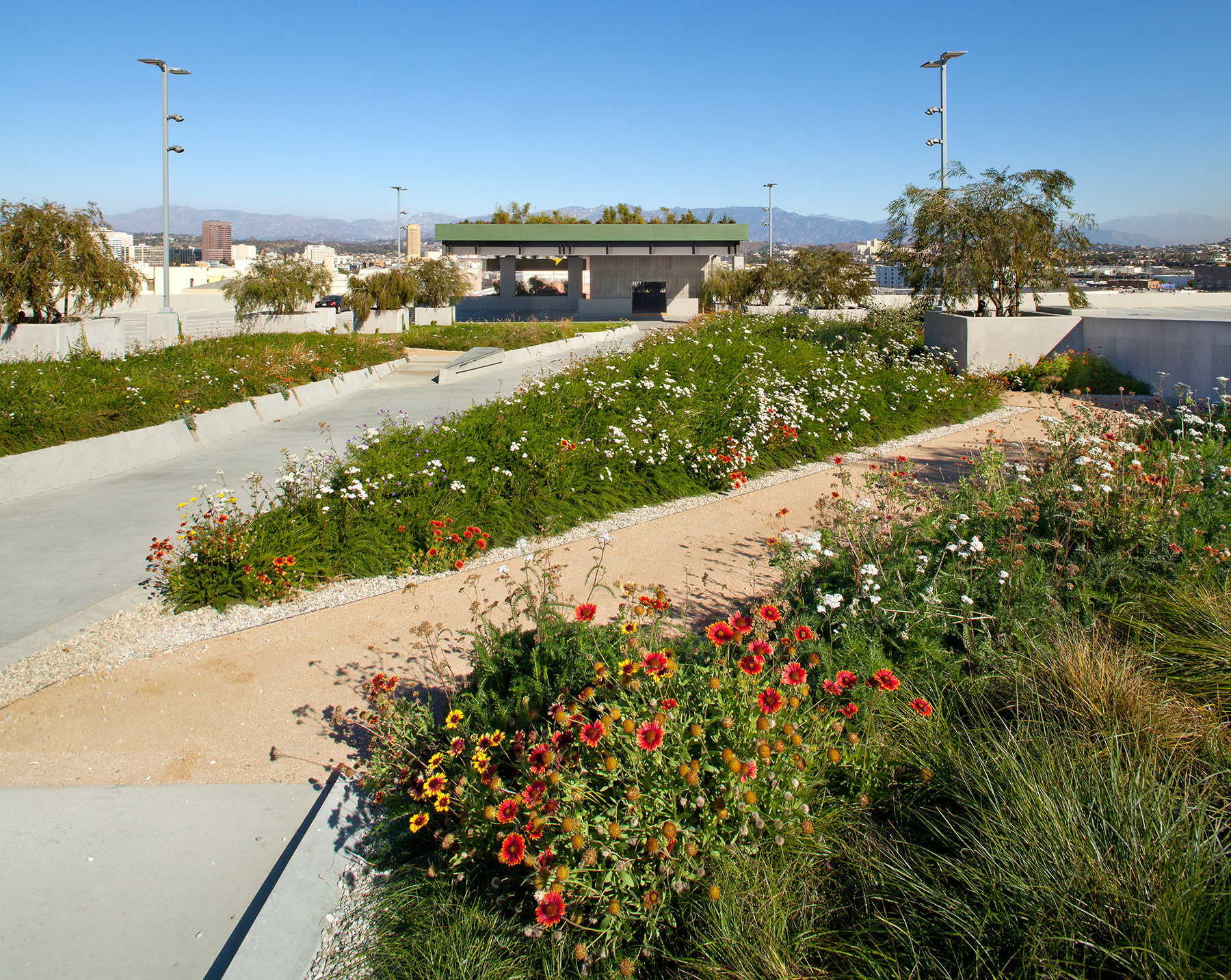 landscaped garage roof