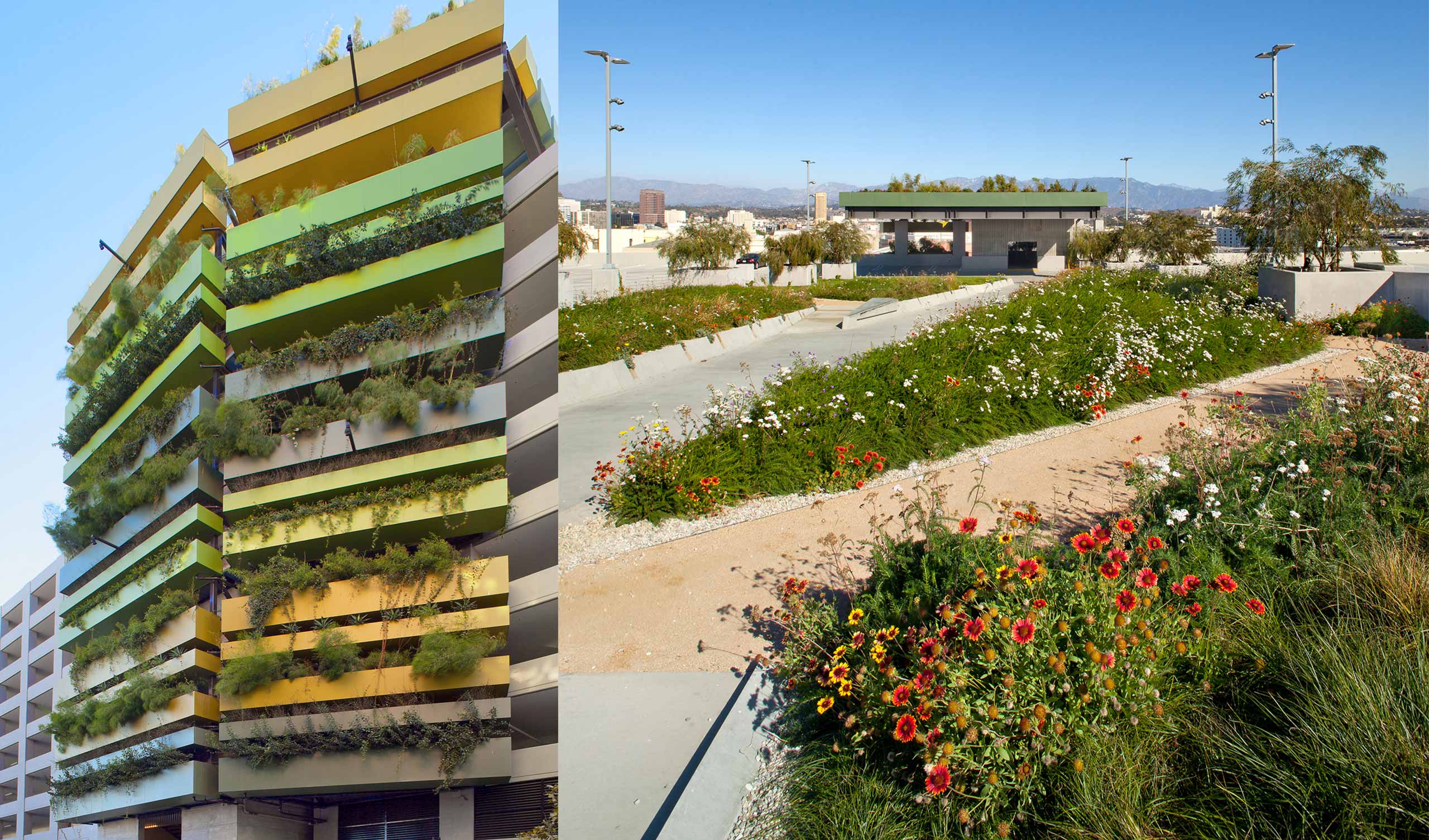 Collage of ROW DTLA landscaping