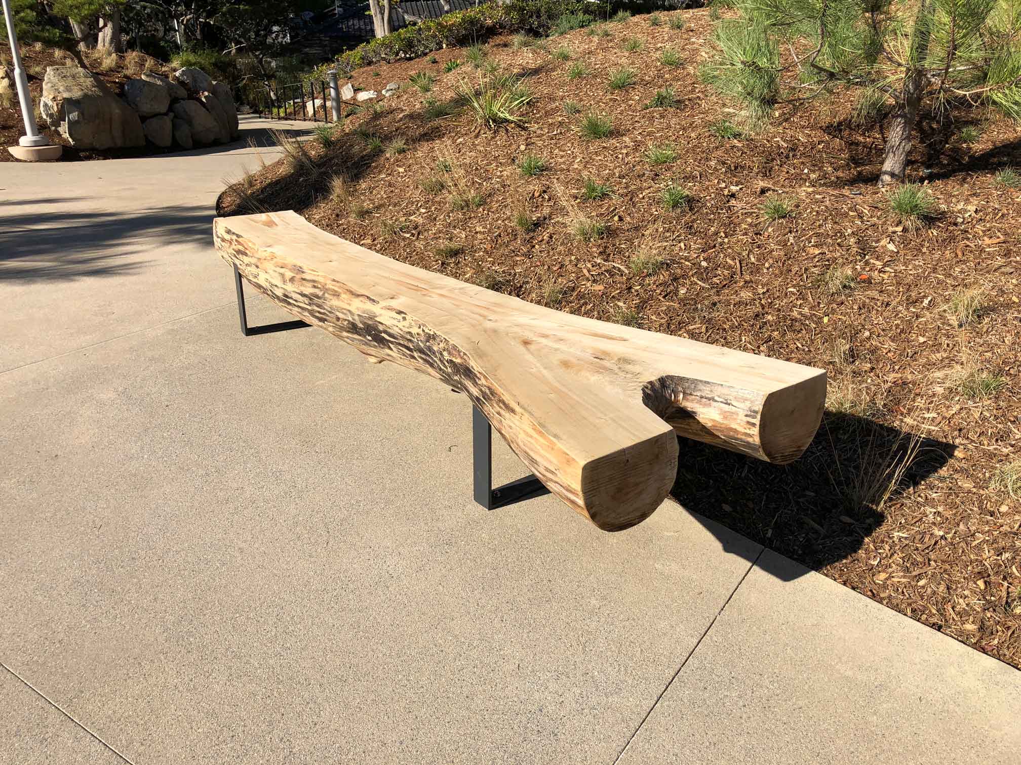 bench made out of a repurposed tree trunk