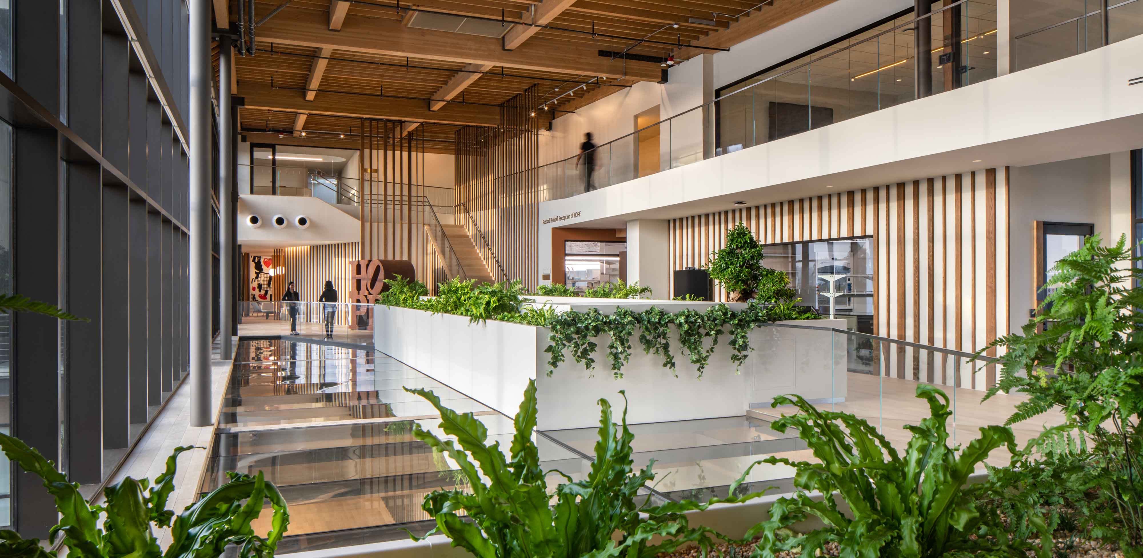 interior view of the top of the Ellison stair case with a wooden ceiling and plants lining the rails