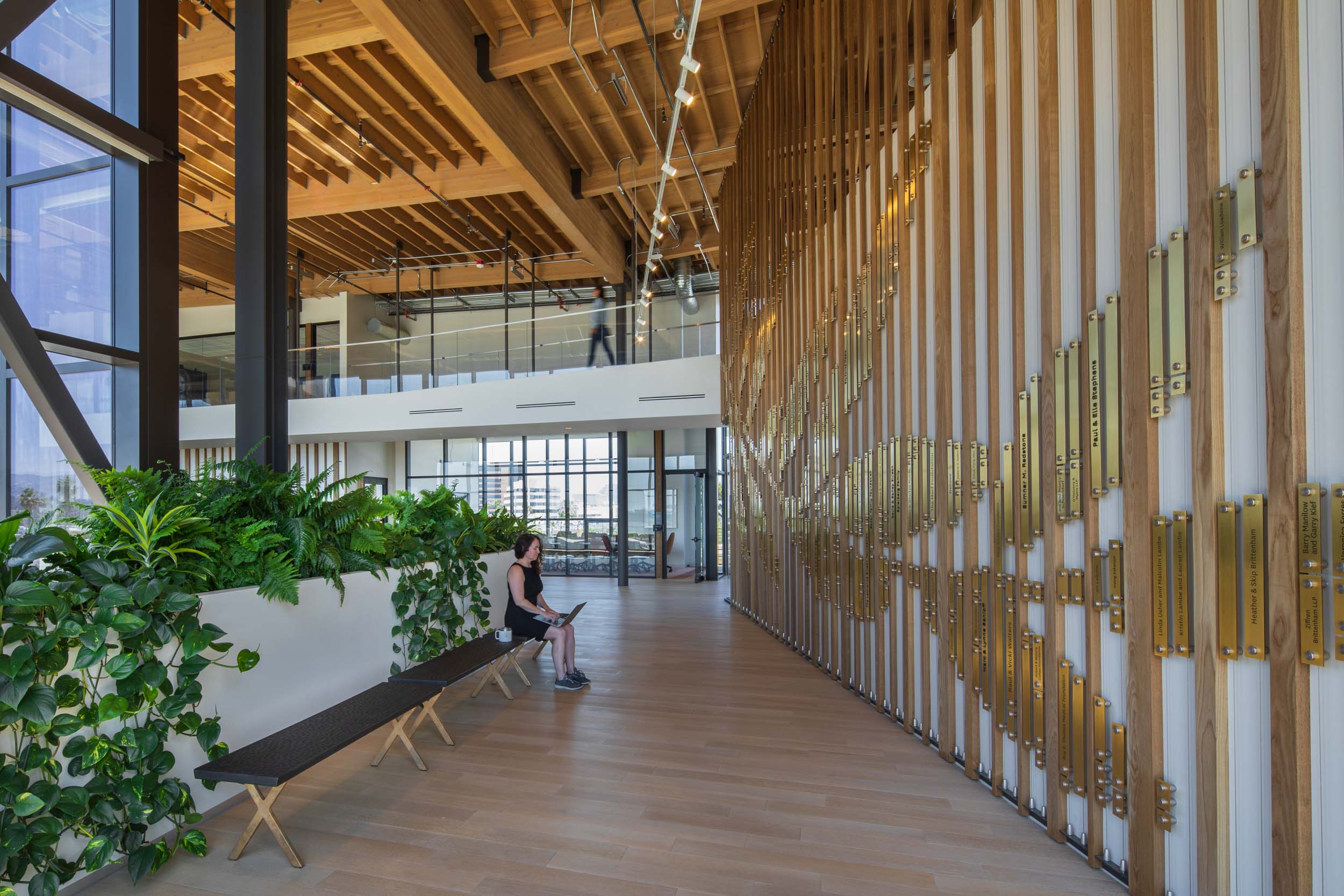 Woman working on her laptop between the green interior planters and the olive branch donor wall at the Ellison Institute