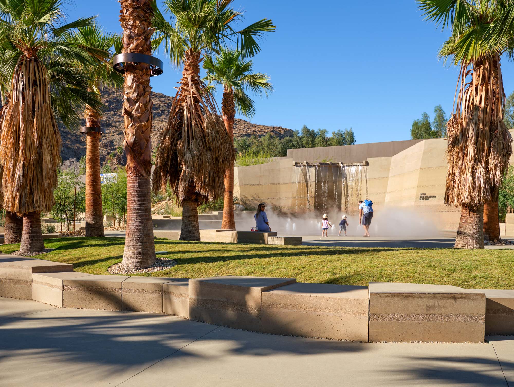 distant view of waterfall-inspired water feature with palm trees in the foreground