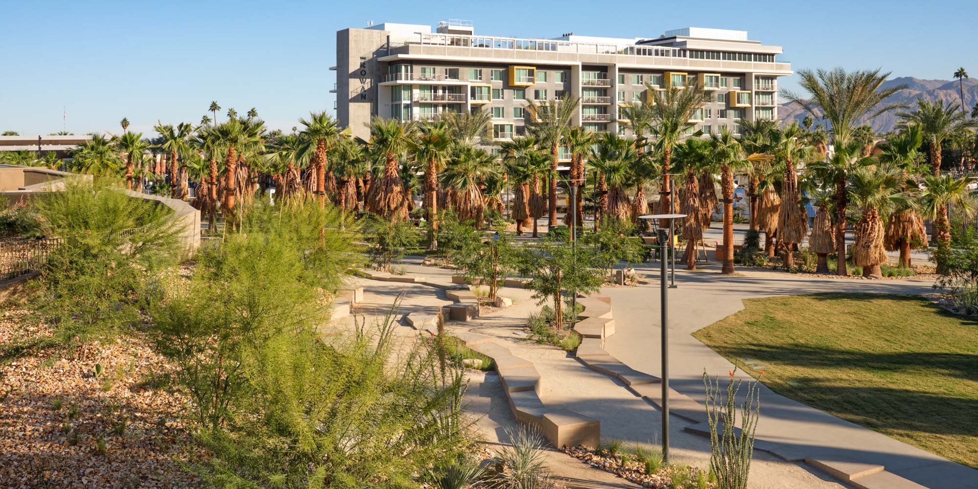 big green lawn surrounded by palm tree grove with mountains in the back