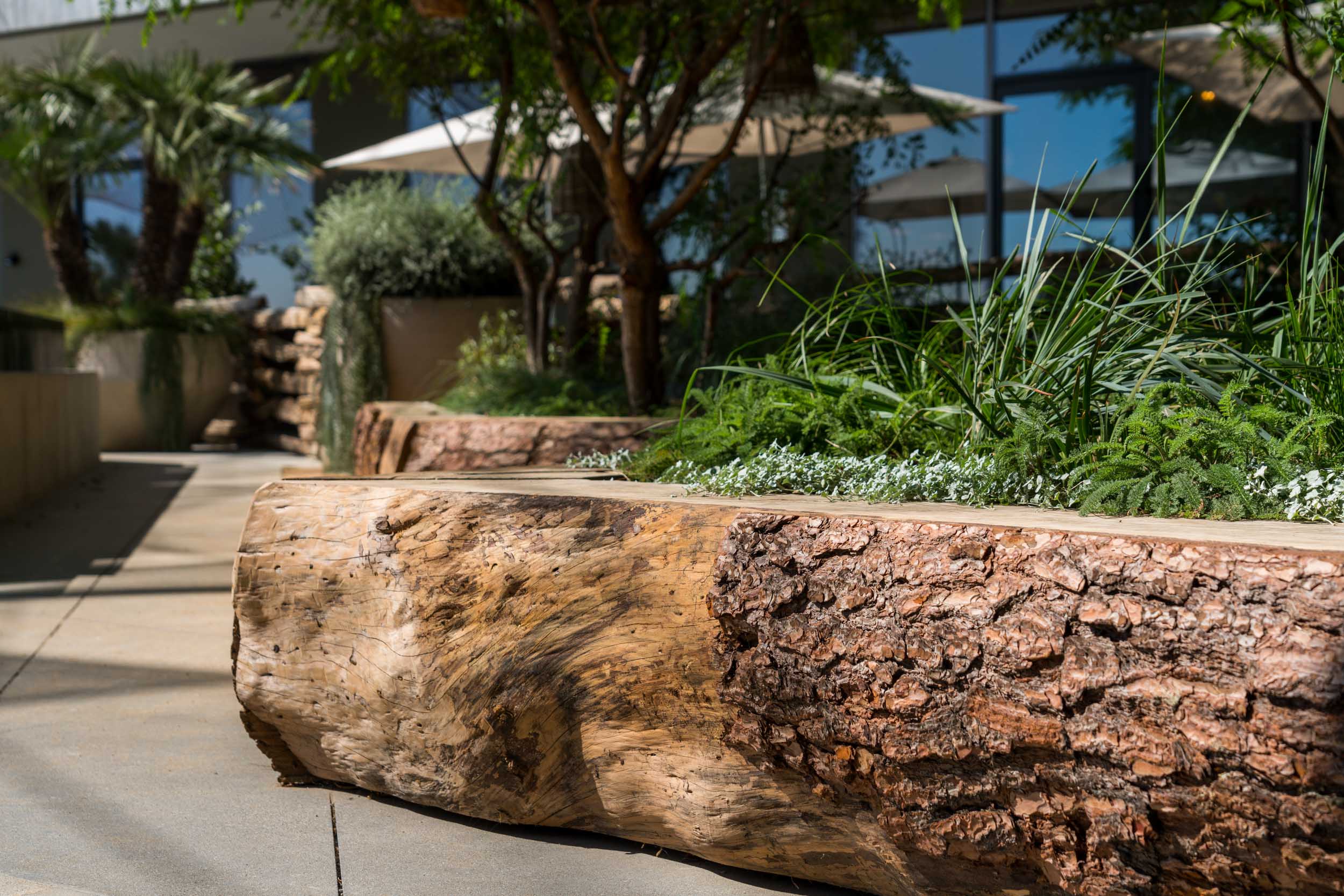 outdoor planter made from raw textured wood