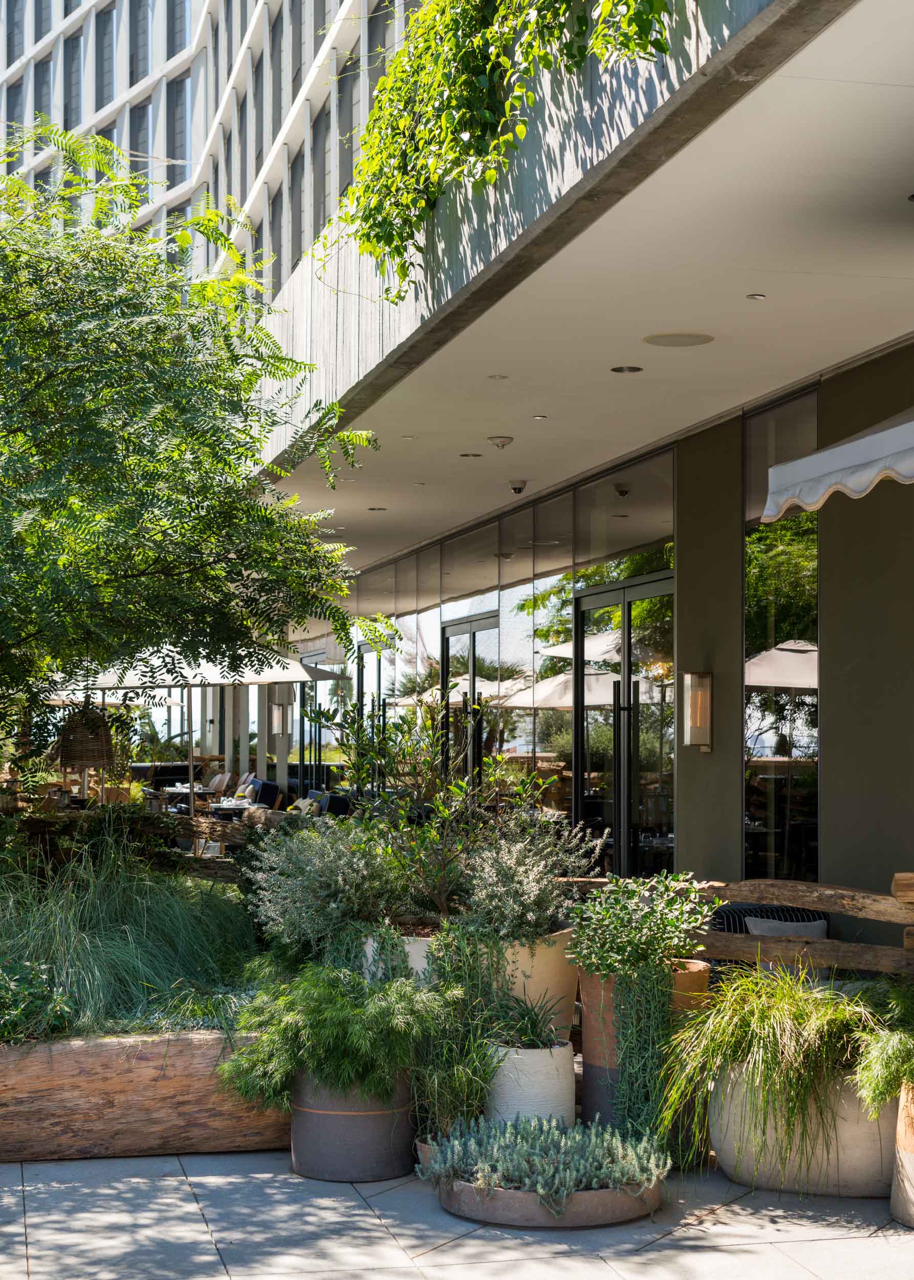 variety of potted plants in front of building