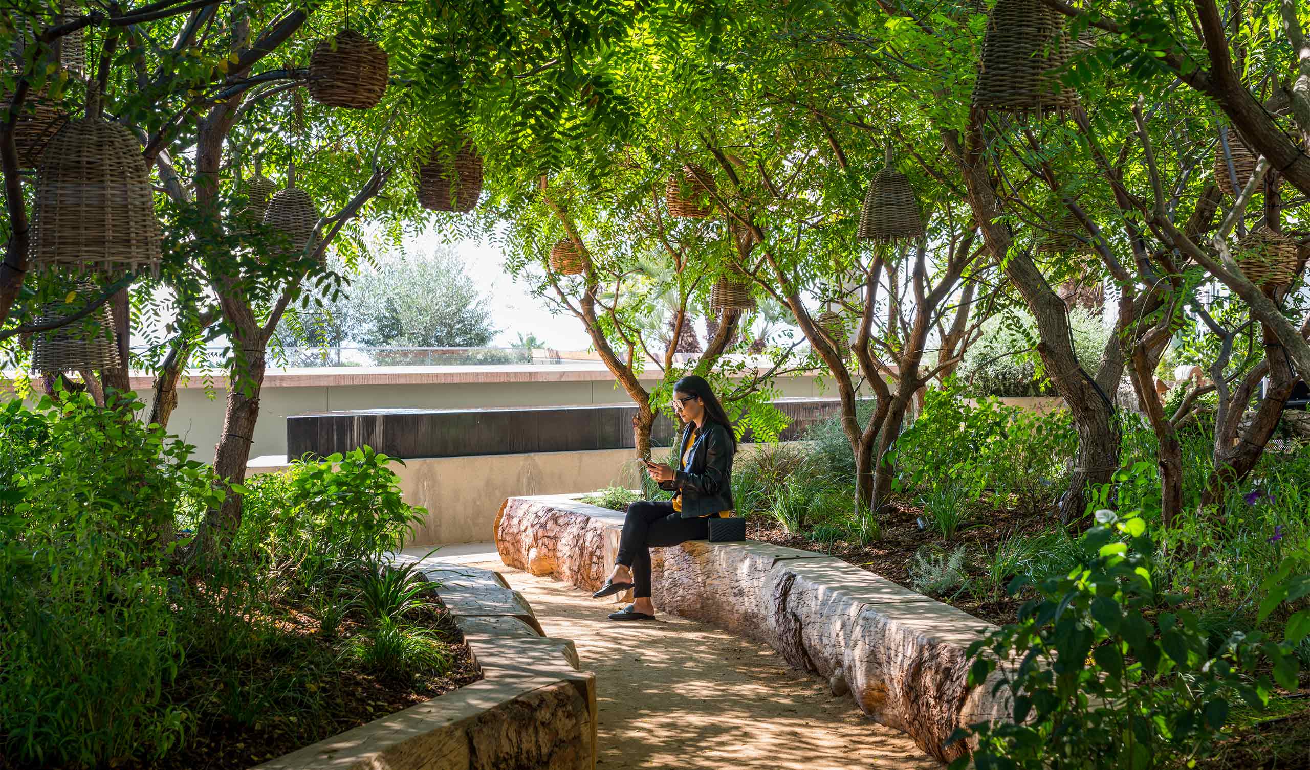 woman reading beneath green trees with stone path and seating