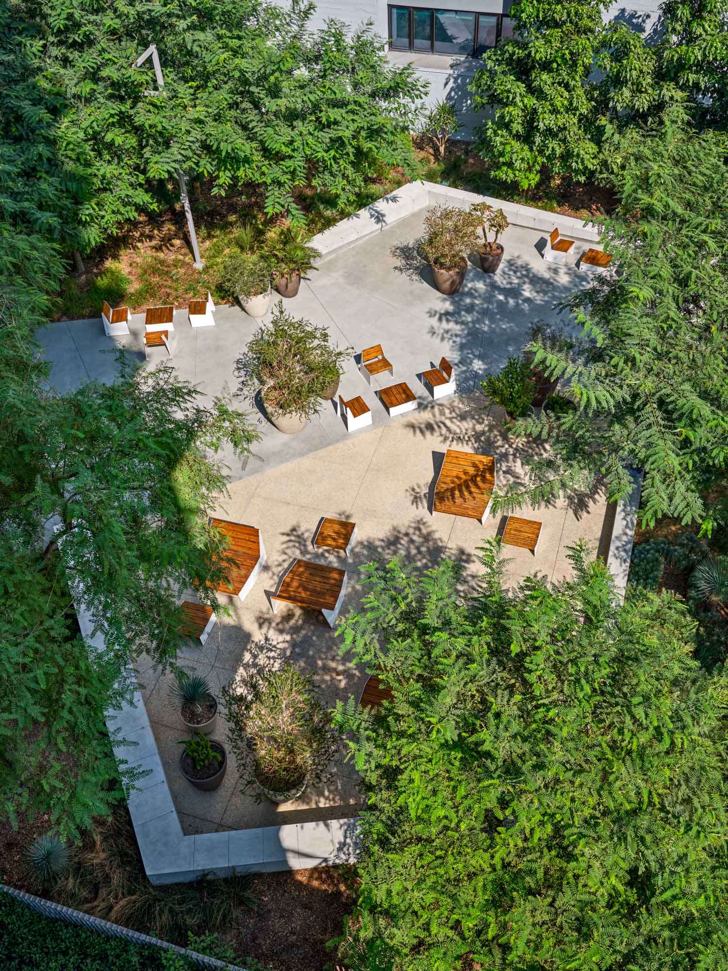 aerial view of south park commons with wooden furniture on a cement patio and trees forming a canopy around the perimeter