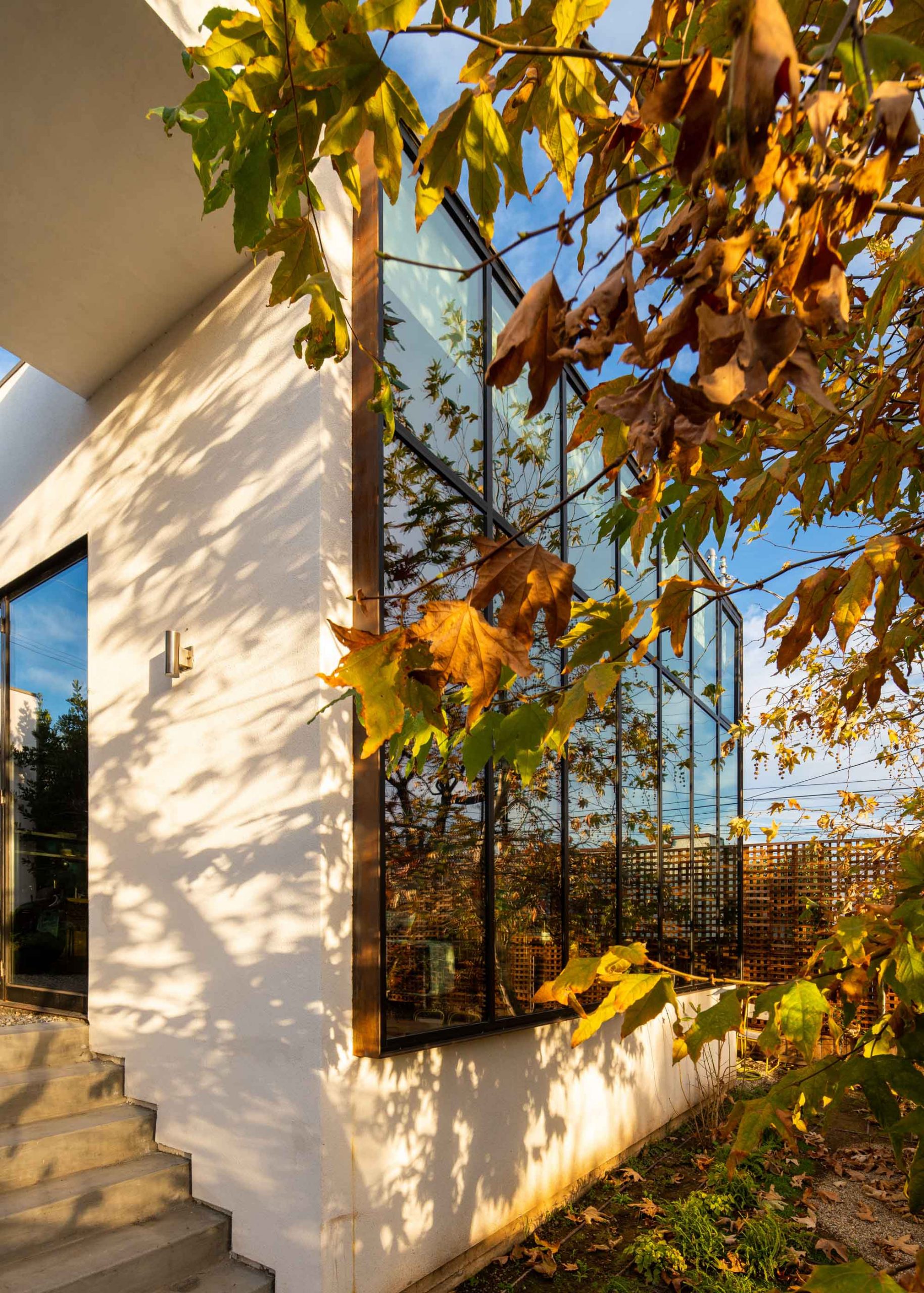 modern home exterior with fall foliage