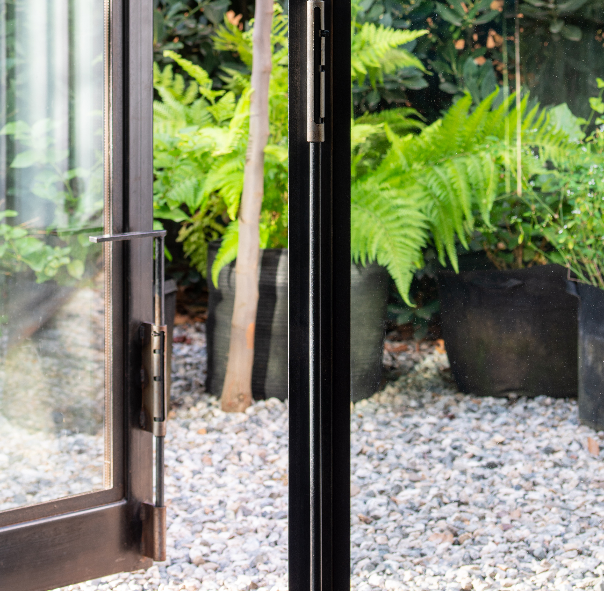 fern and plants in pots through glass door