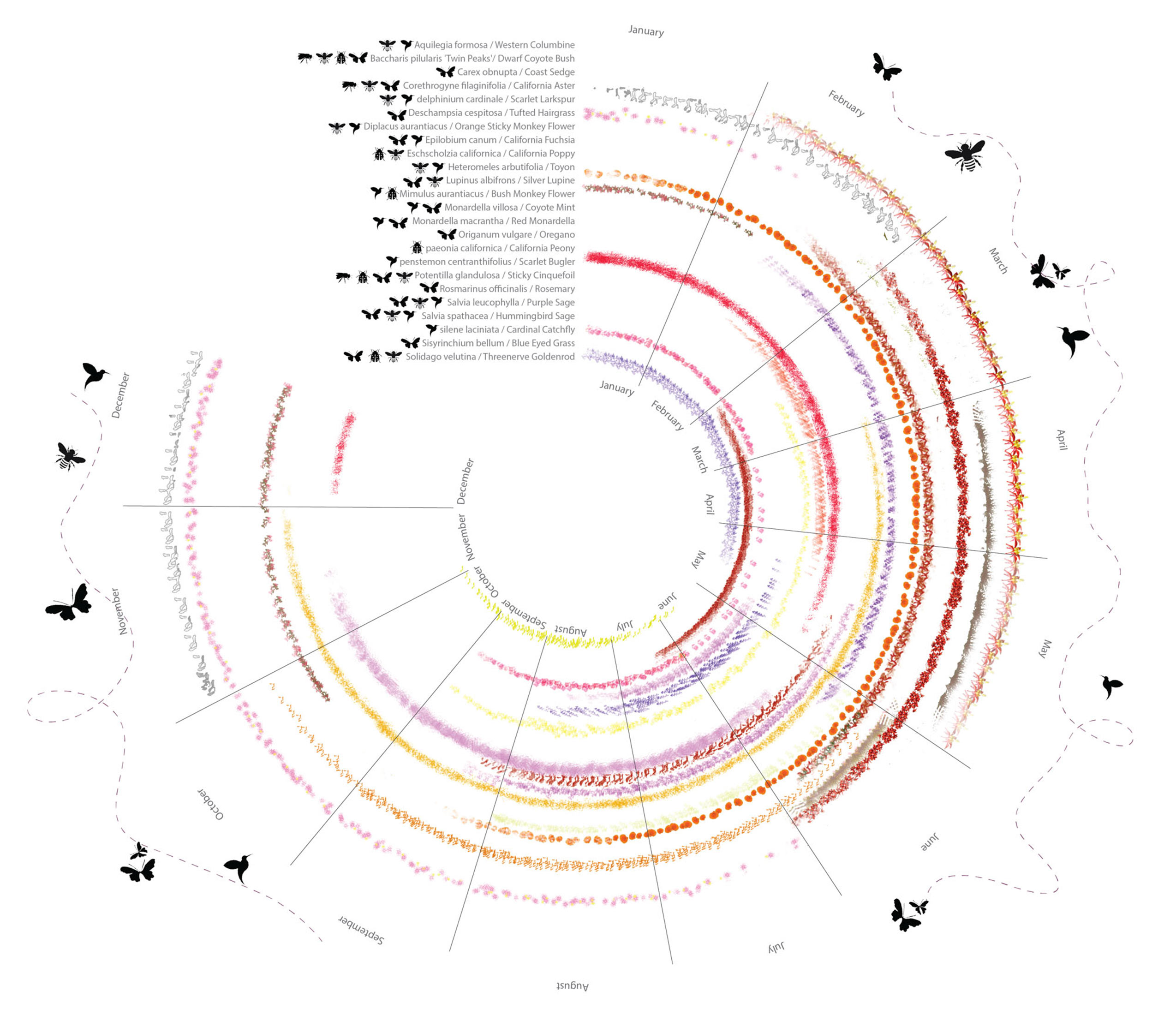 calendar diagram depicting plant bloom cycles