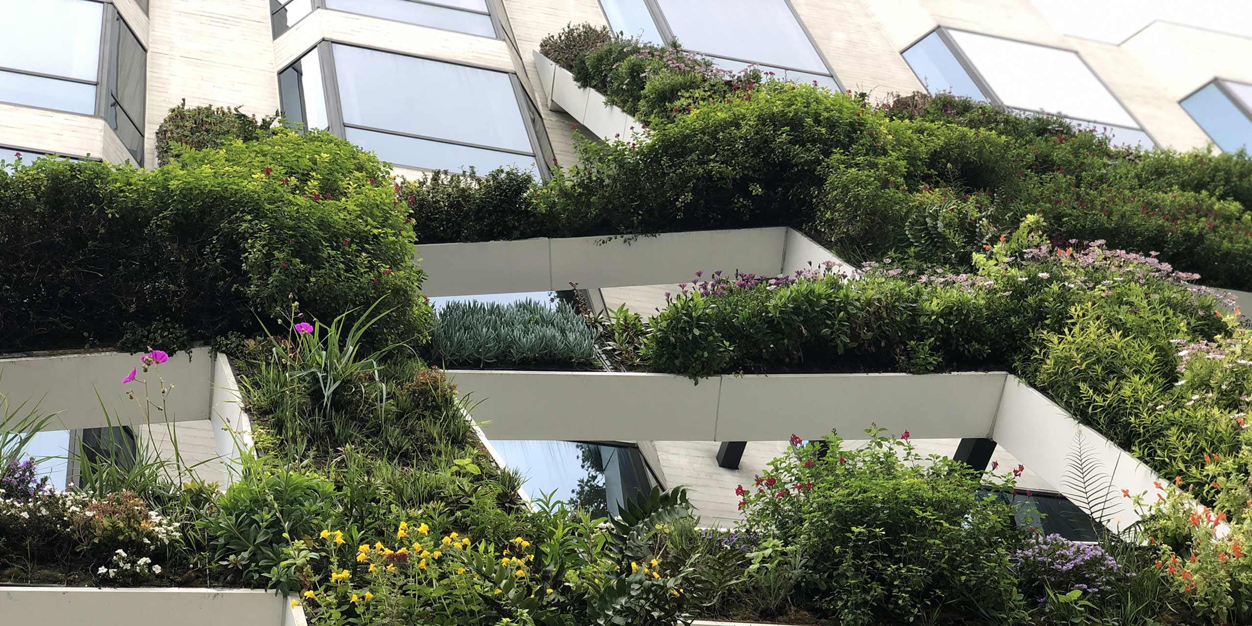 green billboard structure filled with plants