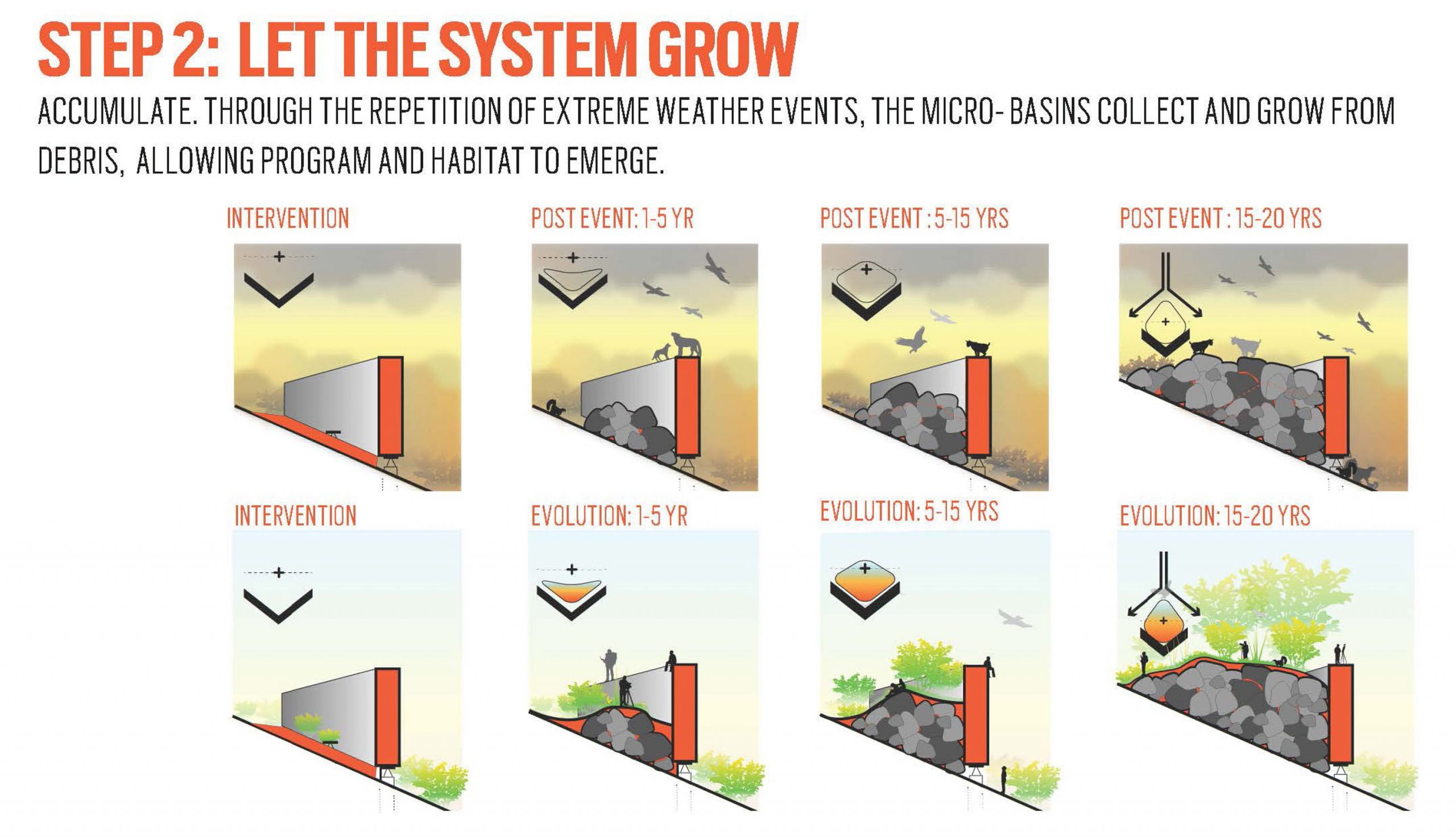 System growth diagram