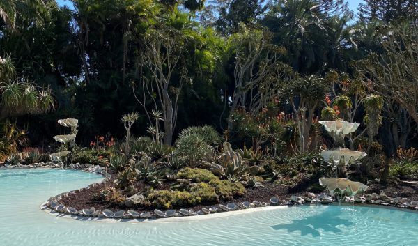 California Dreaming
