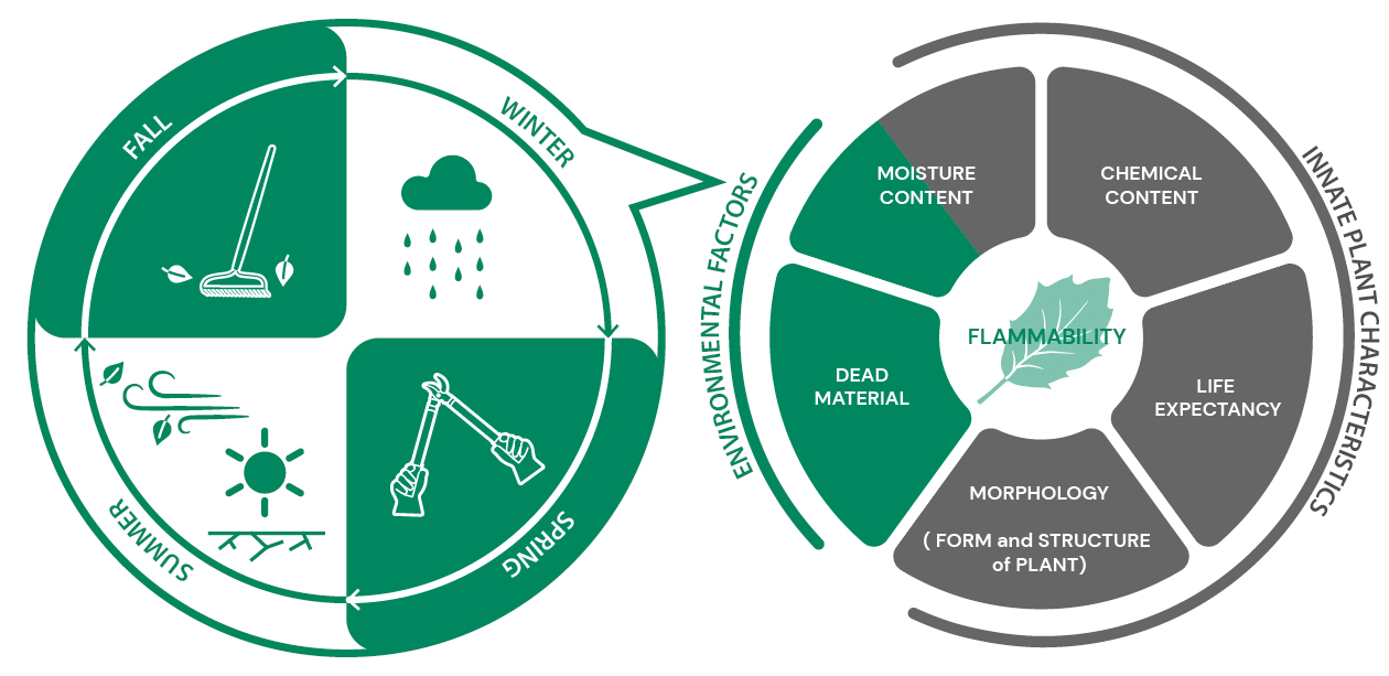 Plant characteristics diagram: flammability based of environmental factors