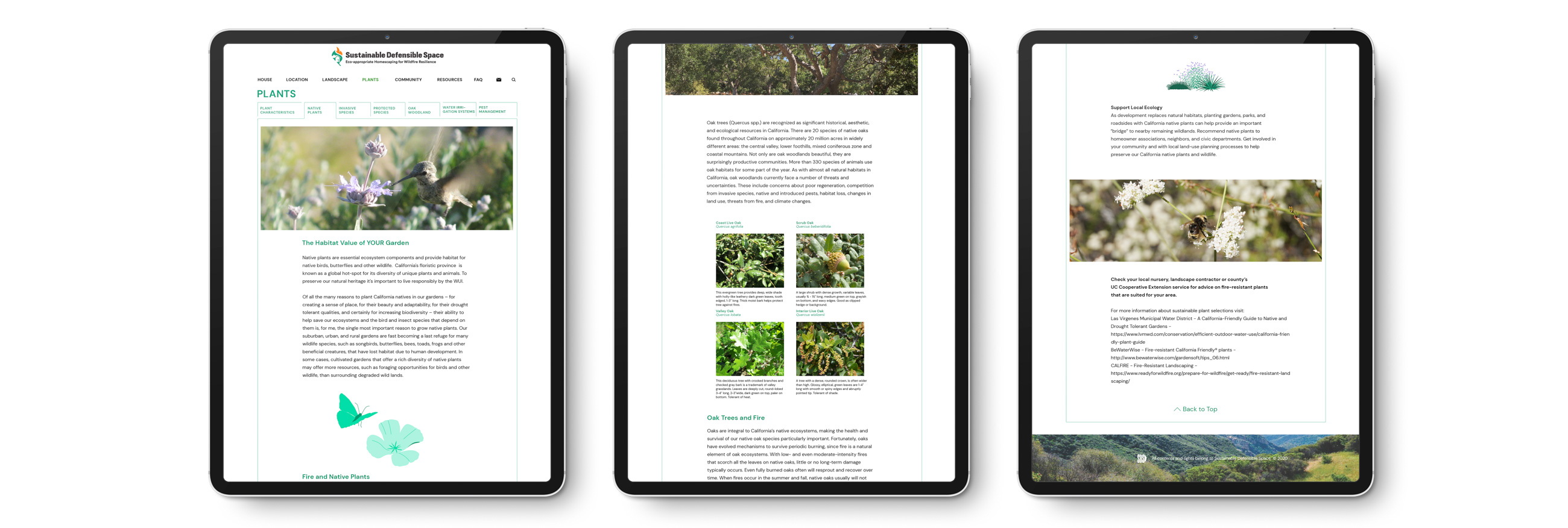 3 iPads showing different webpages from the Sustainable Defensible Space website