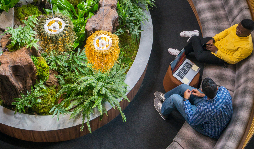 aerial shot of two people sitting on a couch with plants in front of them