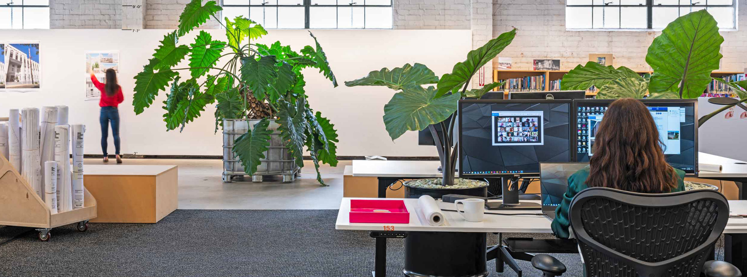 Woman sitting at desk with plants