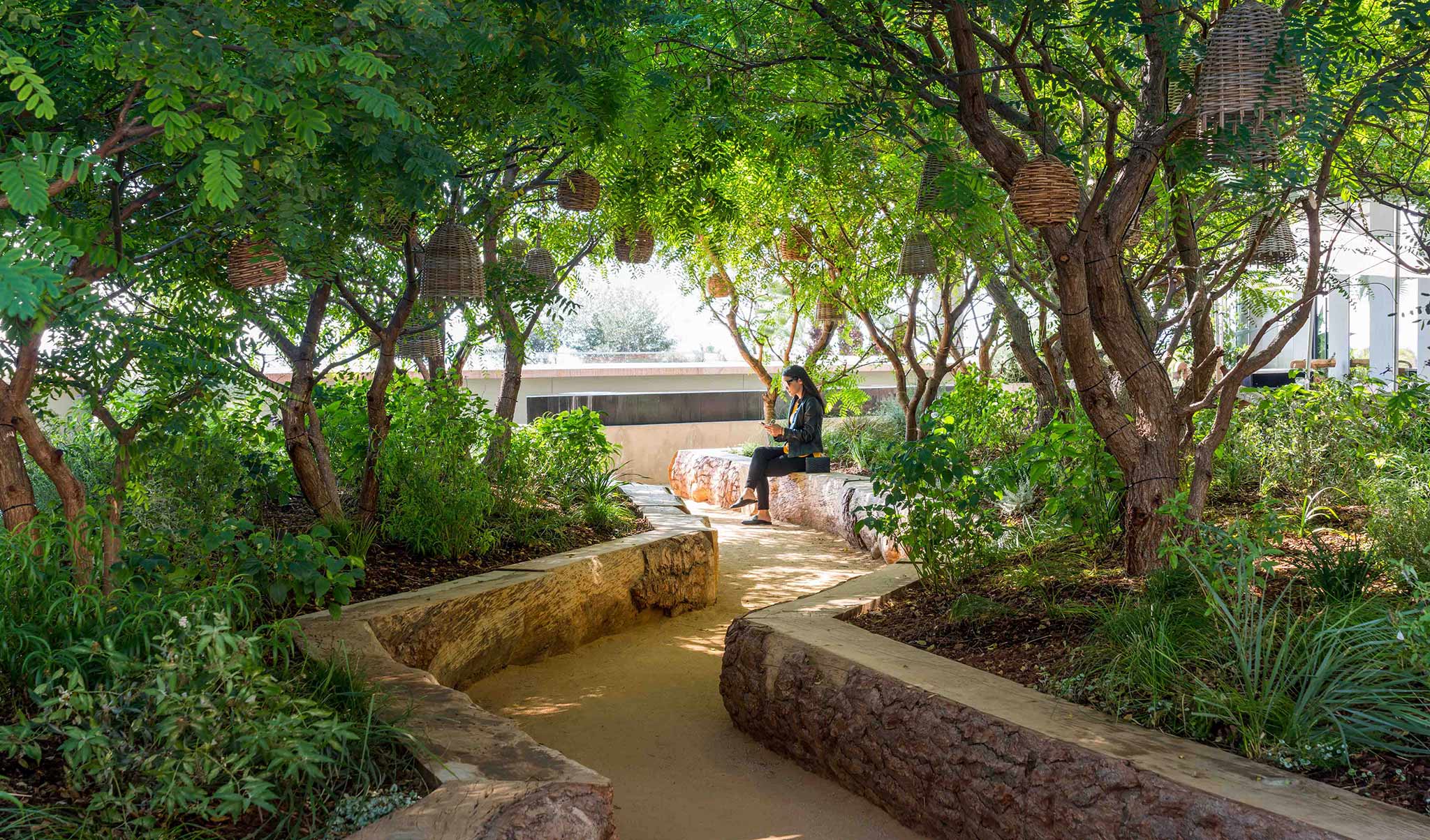 woman reading beneath green trees with stone path and seating