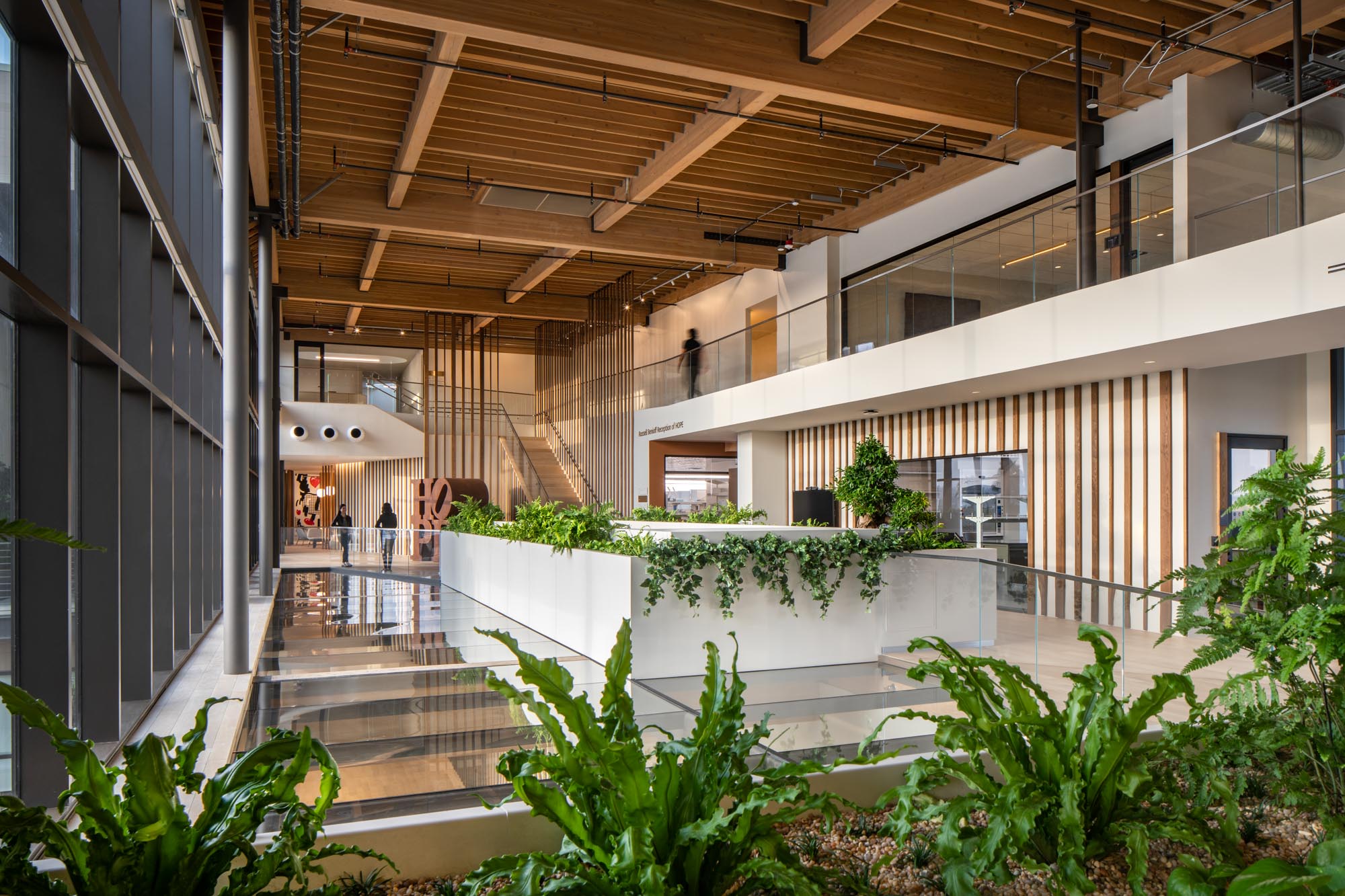 interior view of the top of the Ellison stair case with a wooden ceiling and plants lining the rails