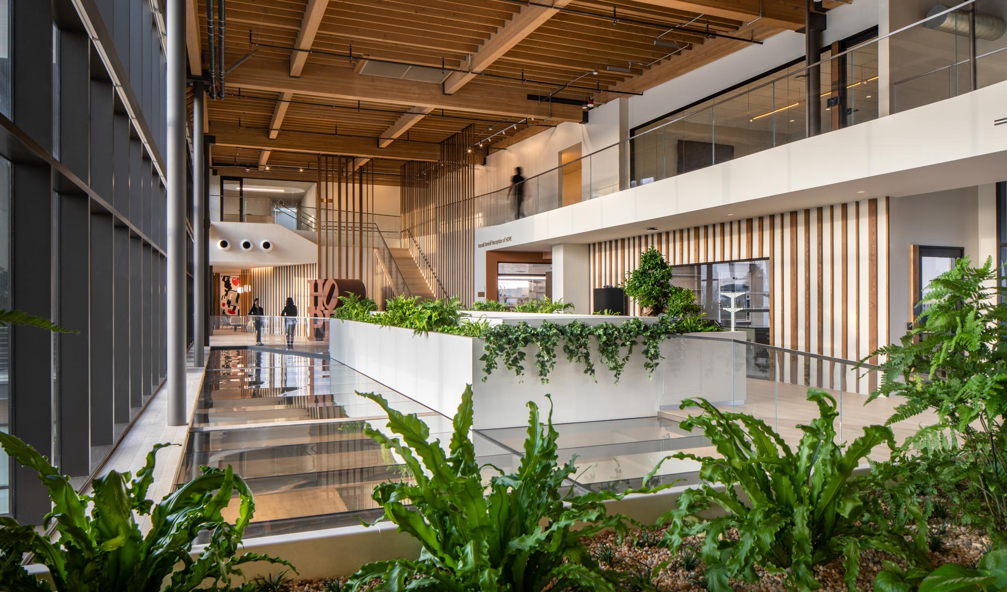 interior view of the top of the Ellison stair case with a wooden ceiling and plants lining the rails