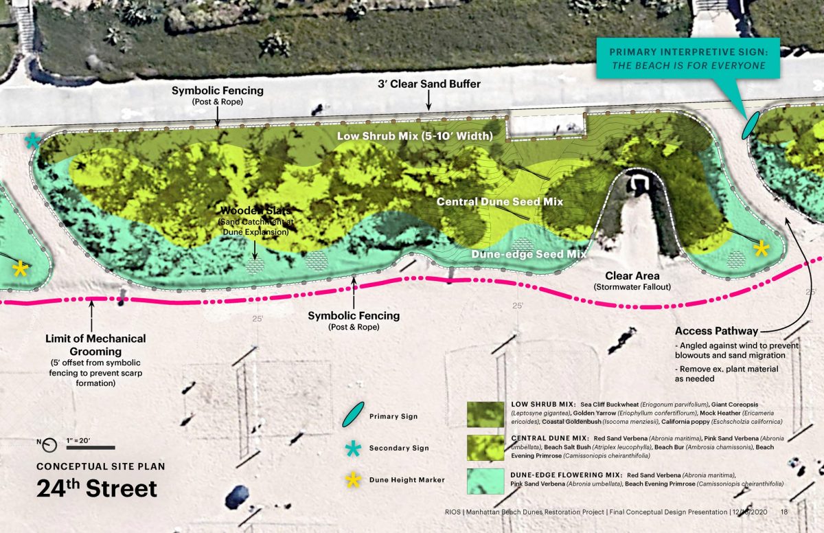 Manhattan Beach Dune Restoration - RIOS