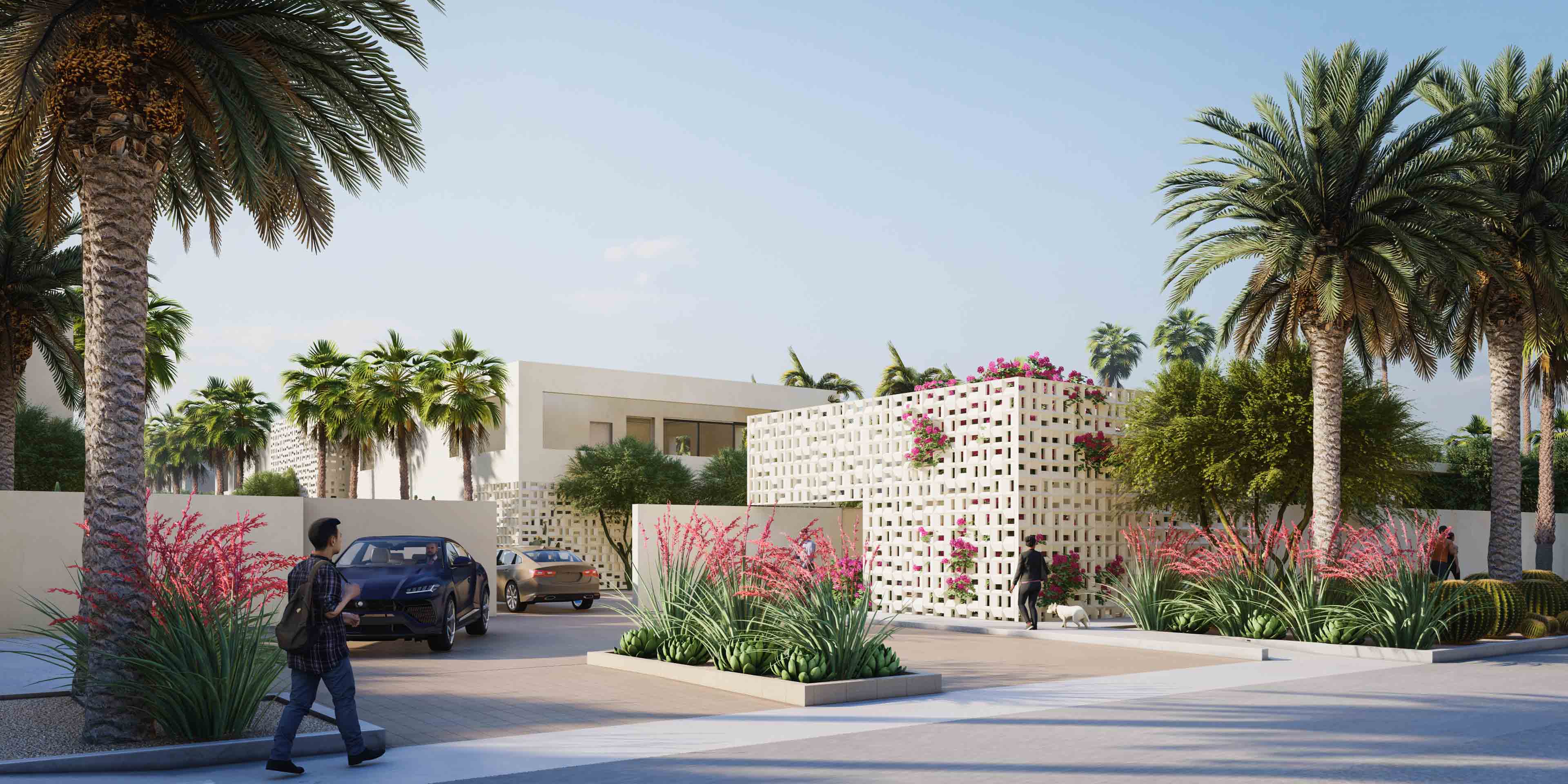 Man walking by the driveway to Palm canyon , beautiful plants everywhere