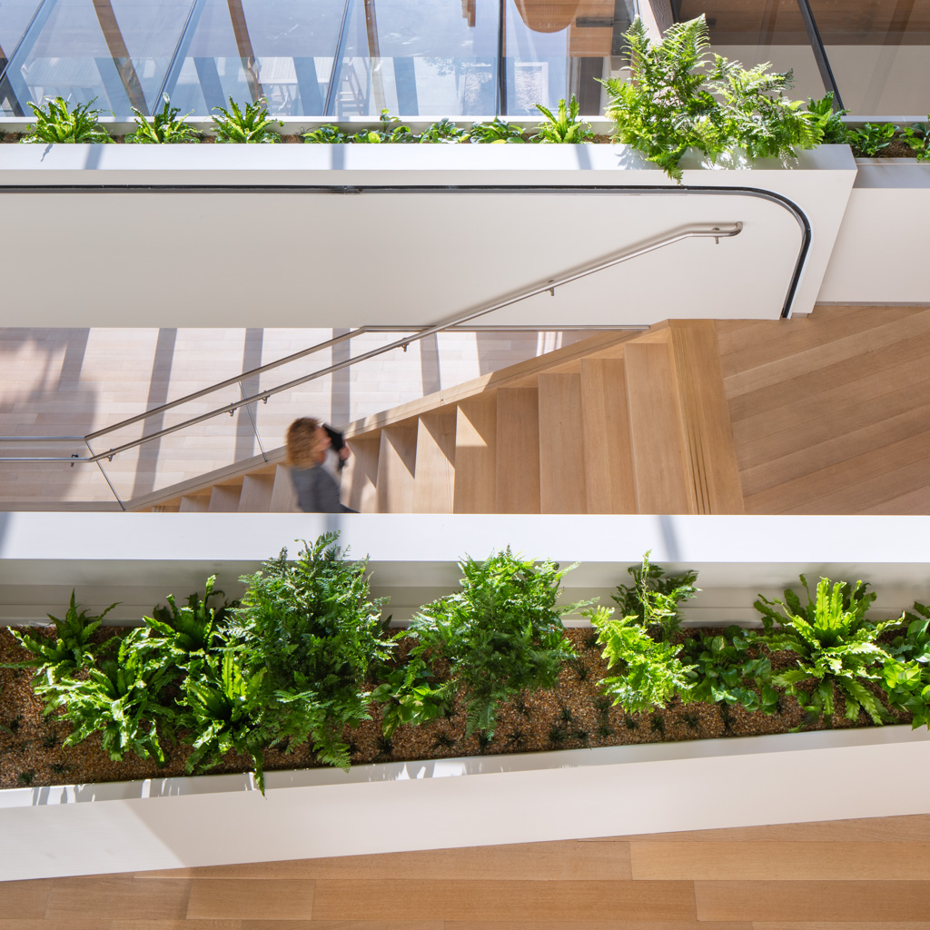 Woman walking up the stairs next to interior planters at the Ellison Institute