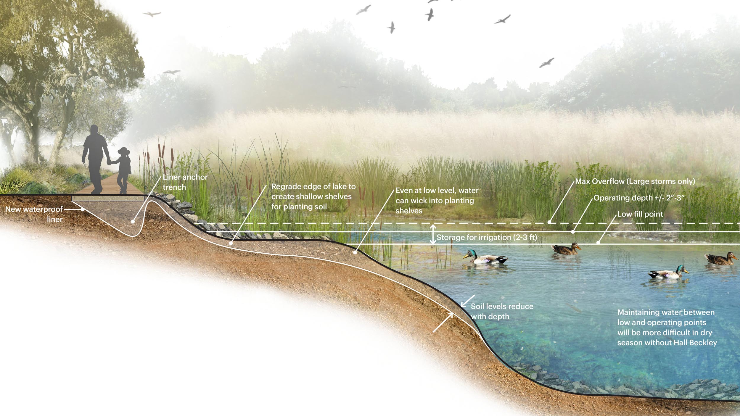 Section view of the lake at Descanso Gardens showing soil levels and storage for irrigation