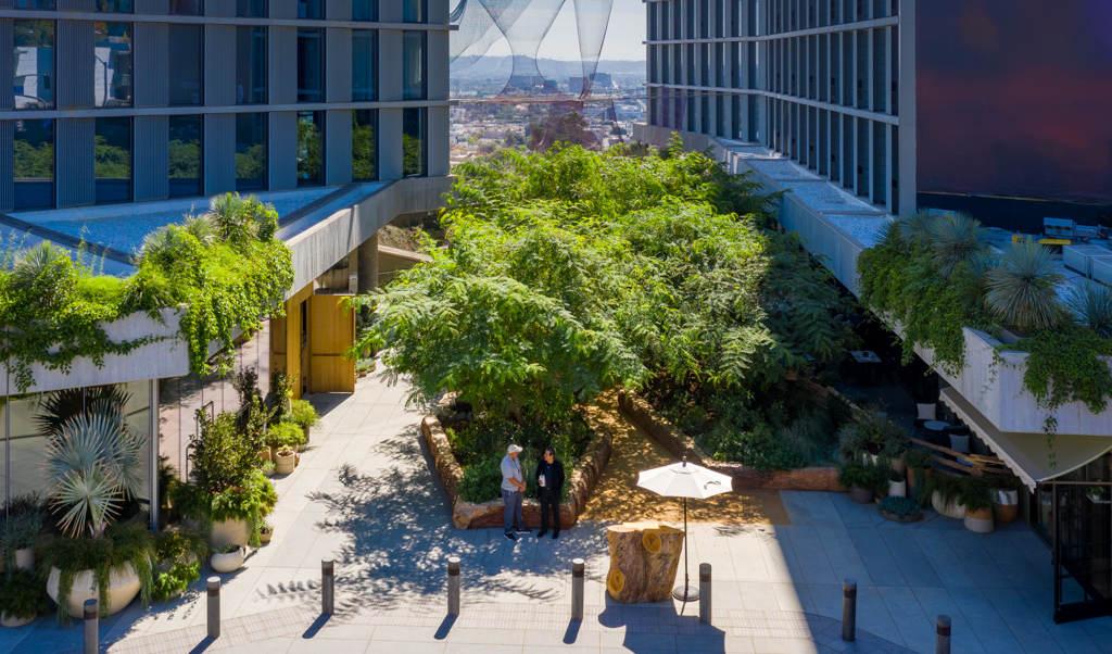 Exterior landscape of the trees and planters at 1 Hotel West Hollywood