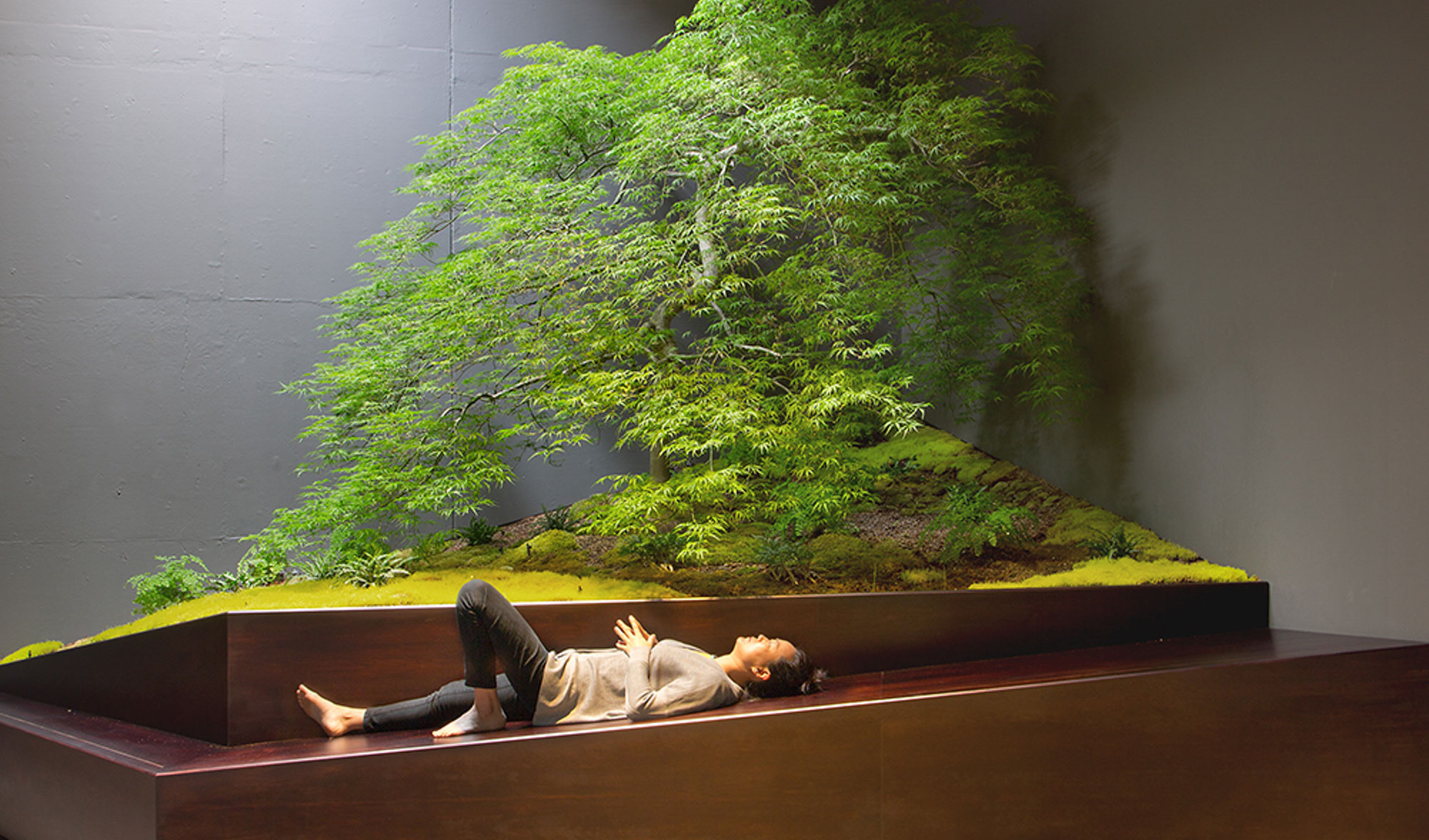 woman lying down on bench inf ront of an interior tree