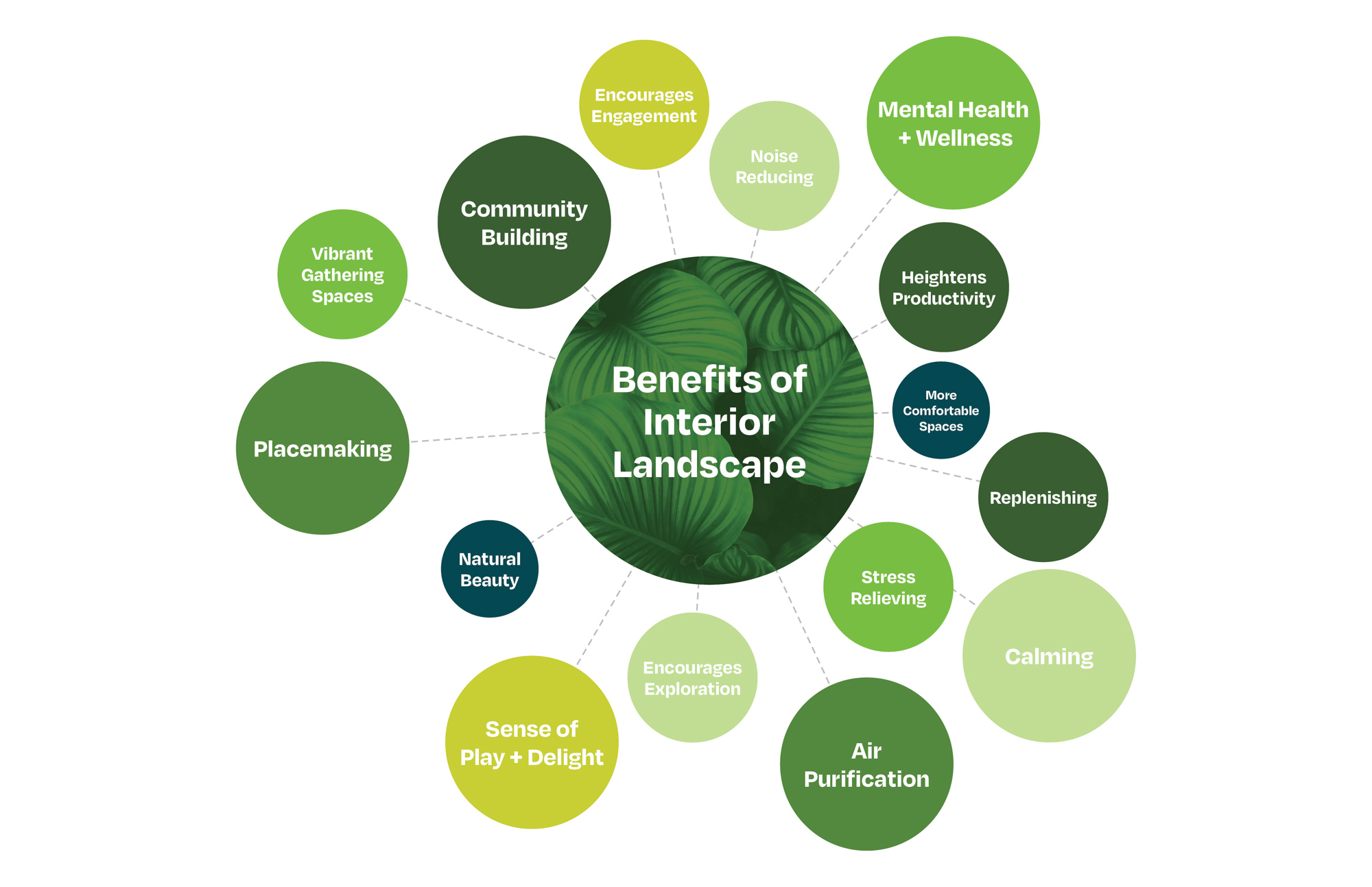 benefits of interior landscapes diagram