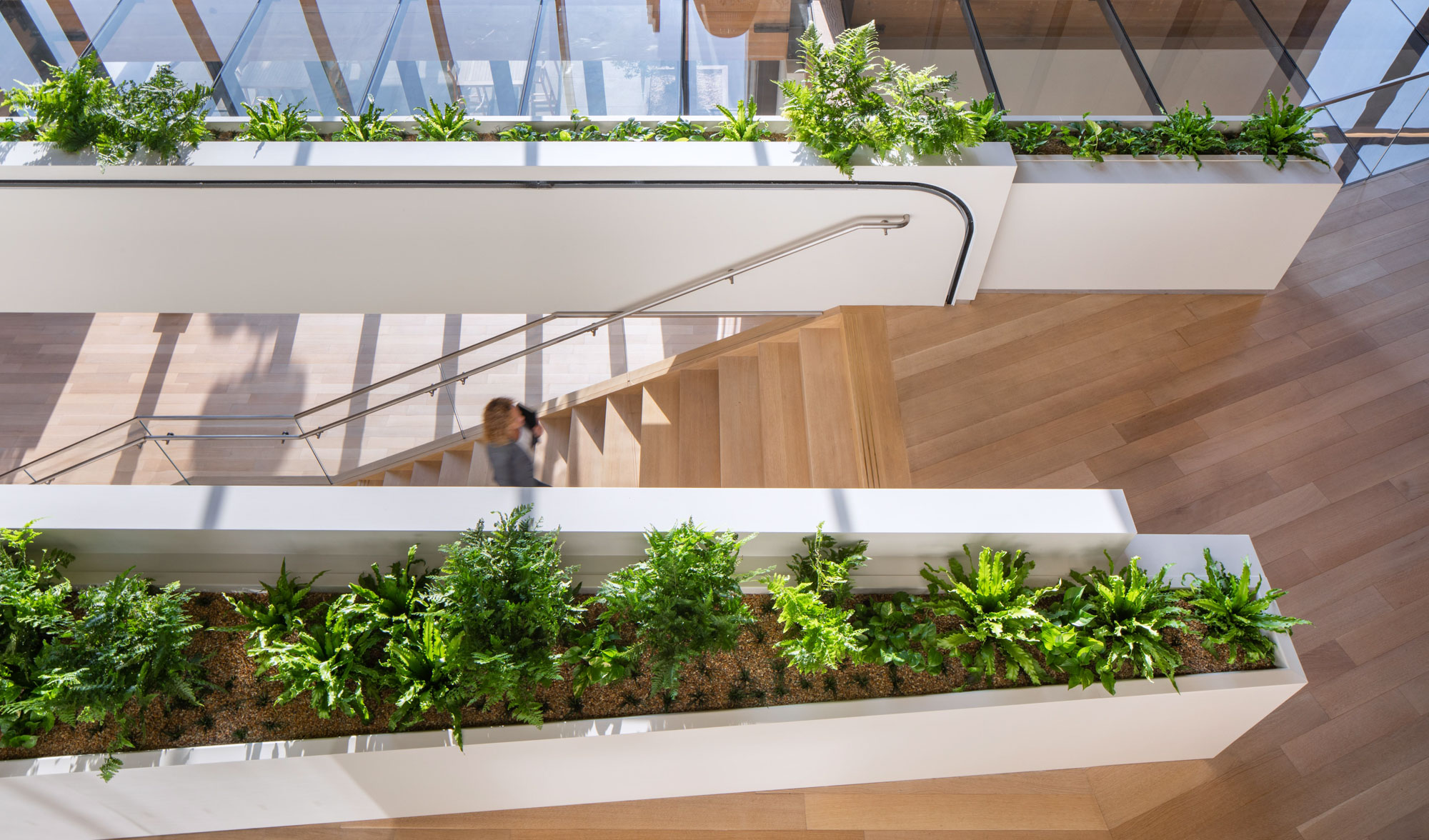 woman walking up stairs with planters on either side