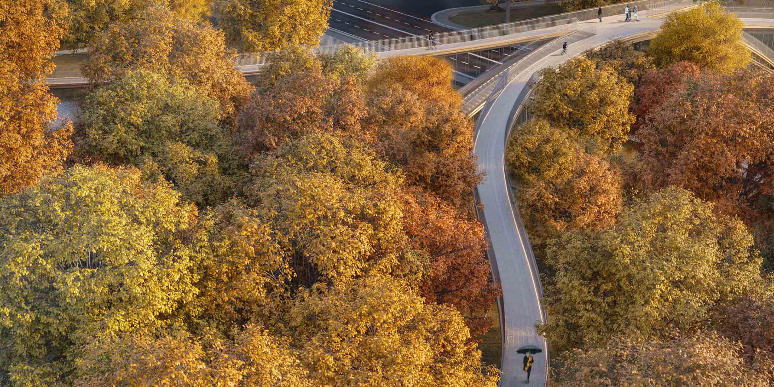 aerial of the proposed Sofia Bridge surrounded by tree canopy