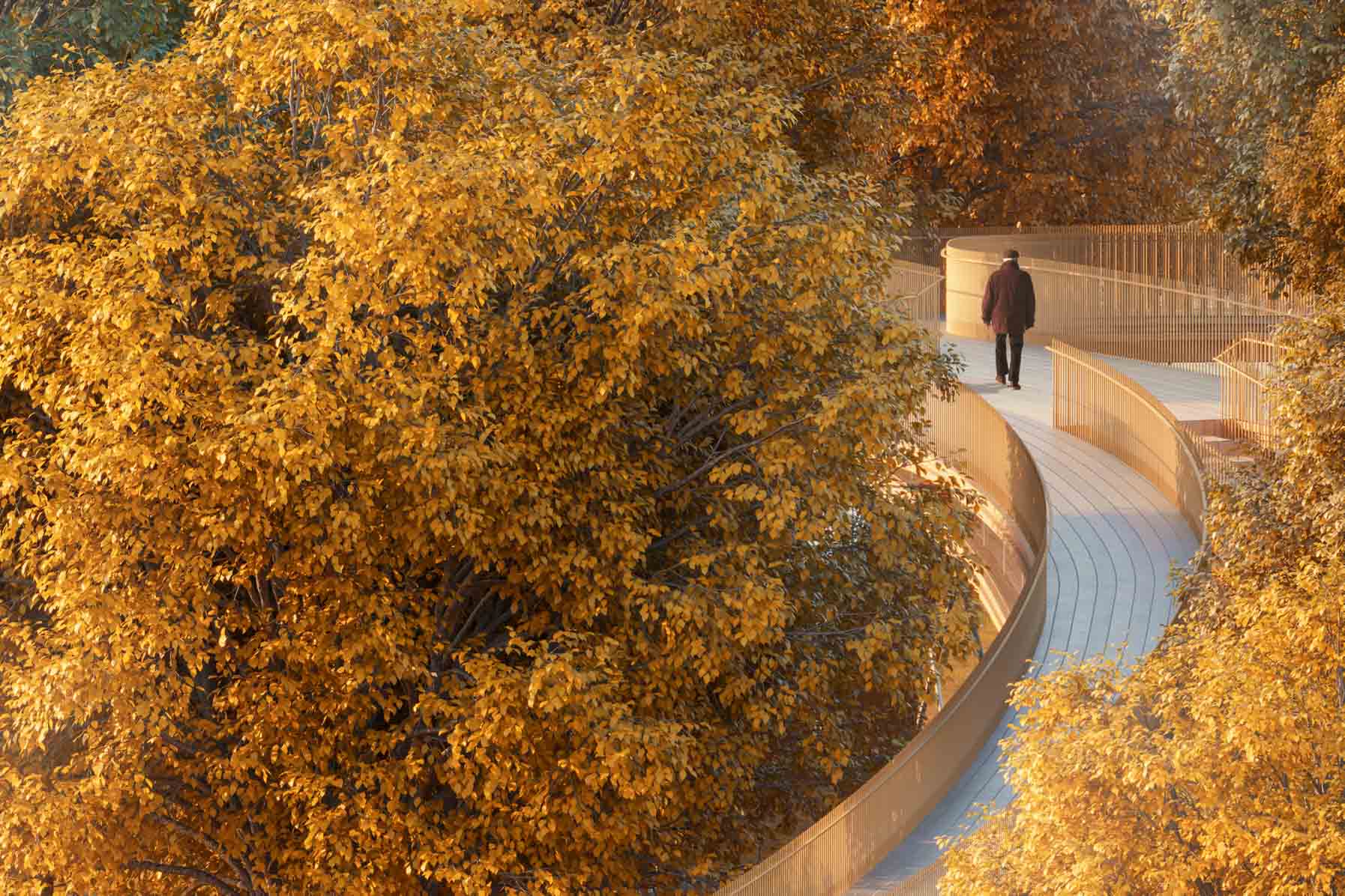 View from the top of the bridge with autumn trees