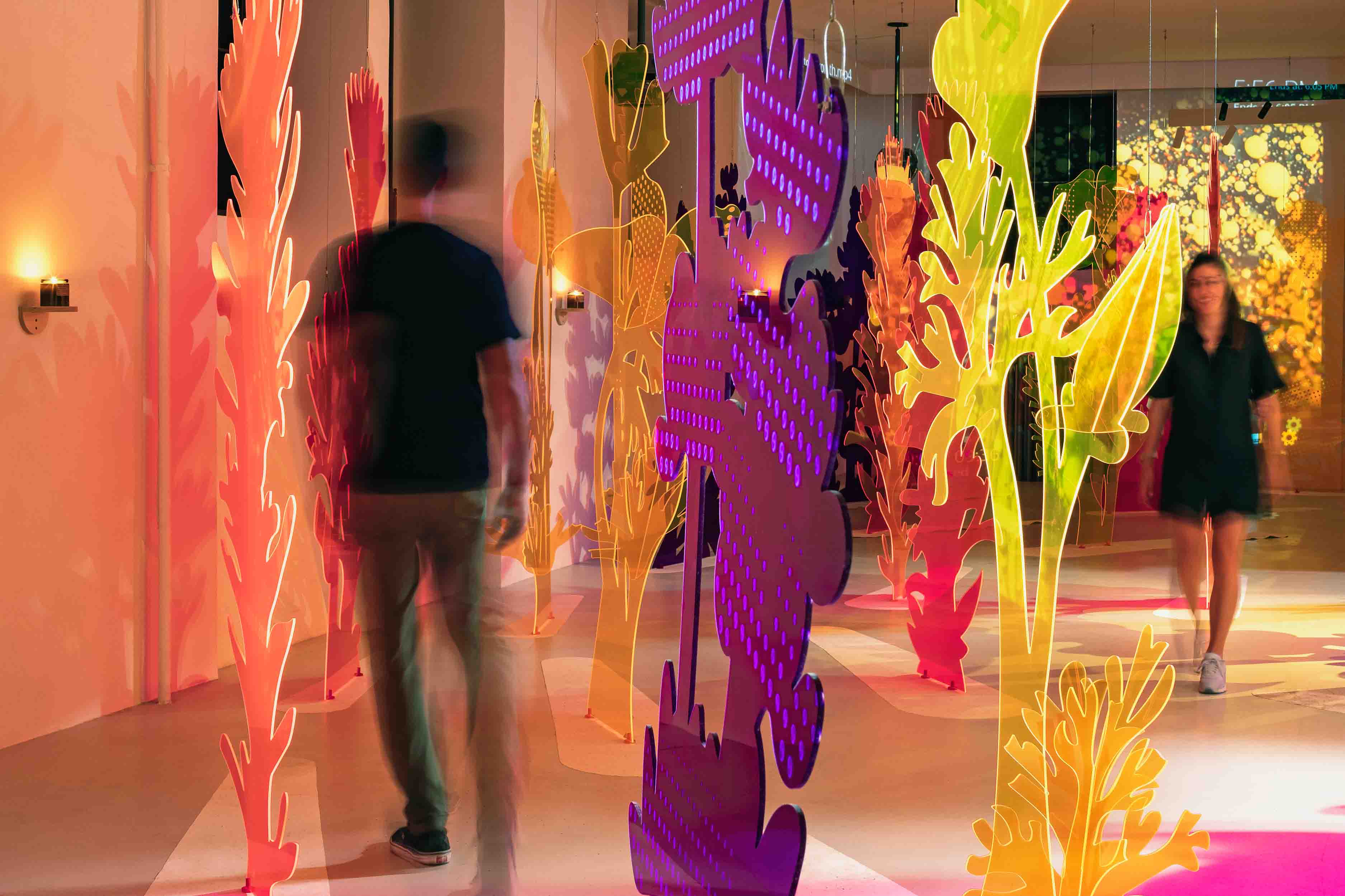 colorful superbloom installation at Milan Design Week