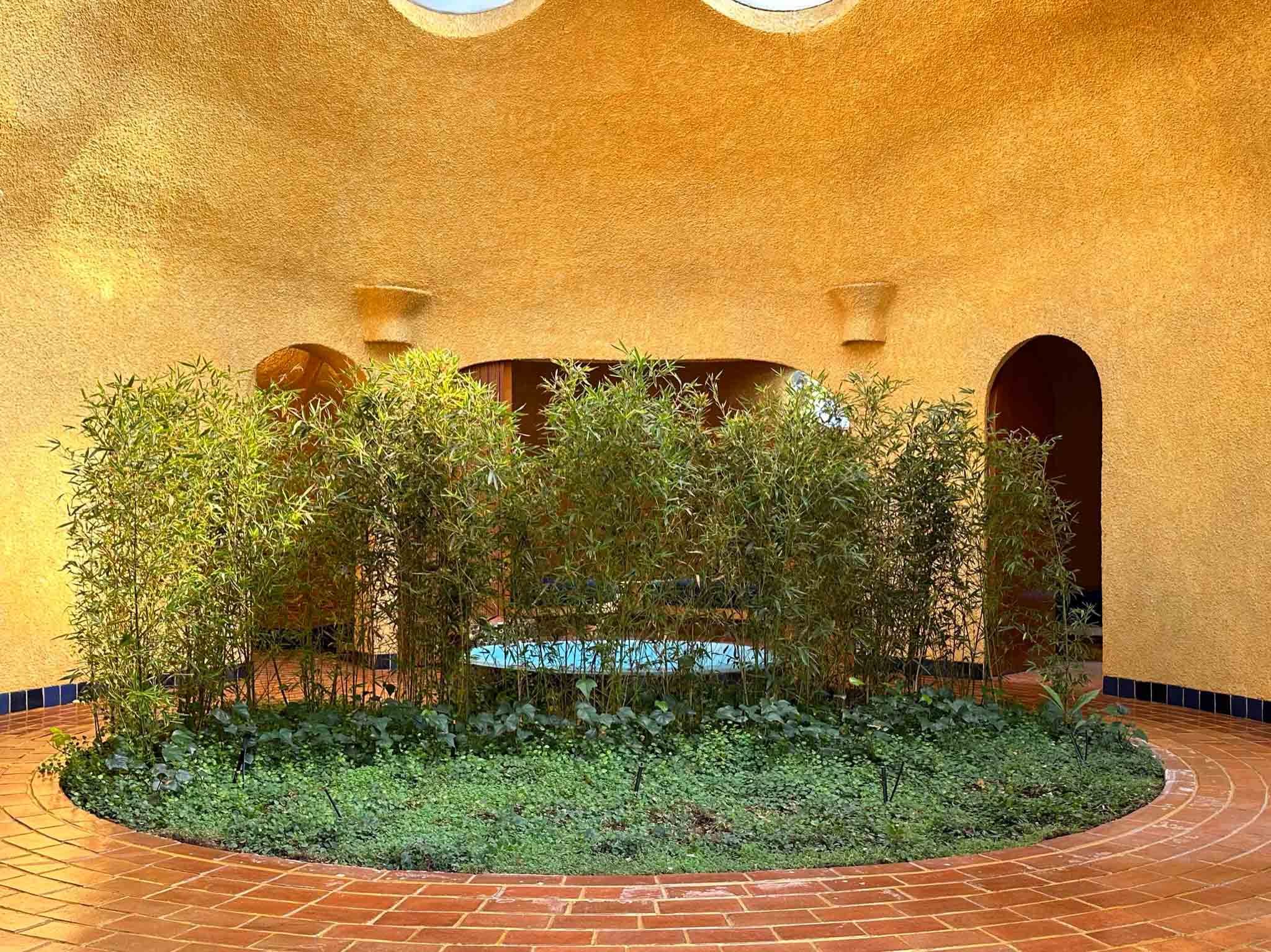 Interior view of a residence at Conjunto Satelite, featuring a grove of trees around a jacuzzi