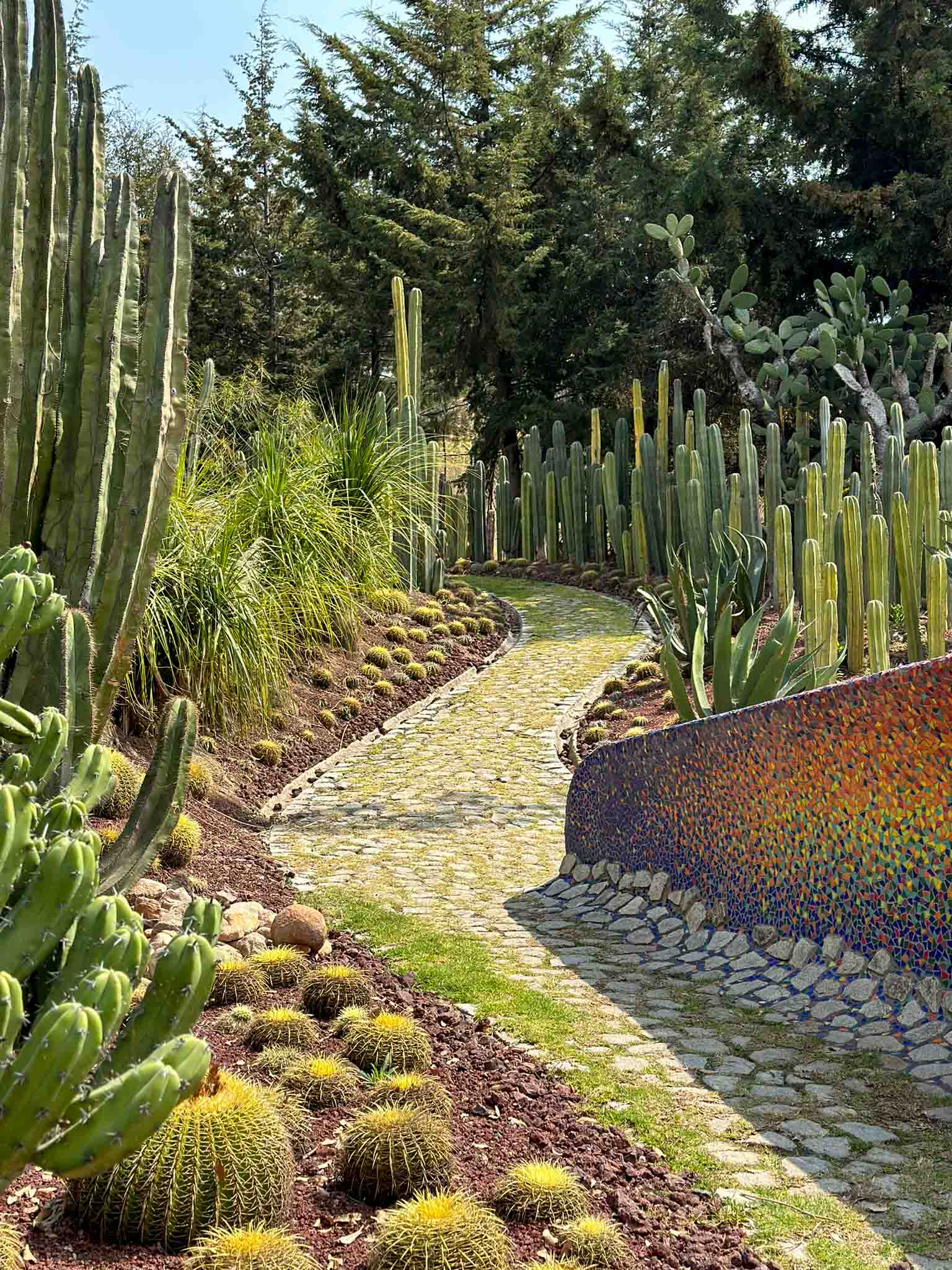 Pathway surrounded by colorful mosaic planters filled with cacti