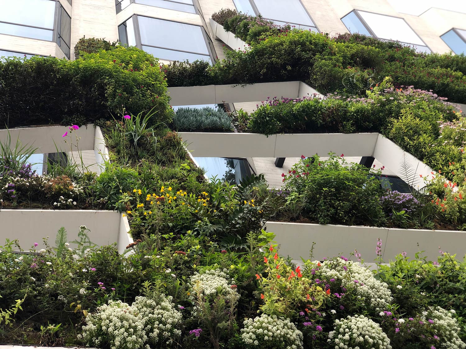 Exterior view of the IAC office, featuring a lush canopy