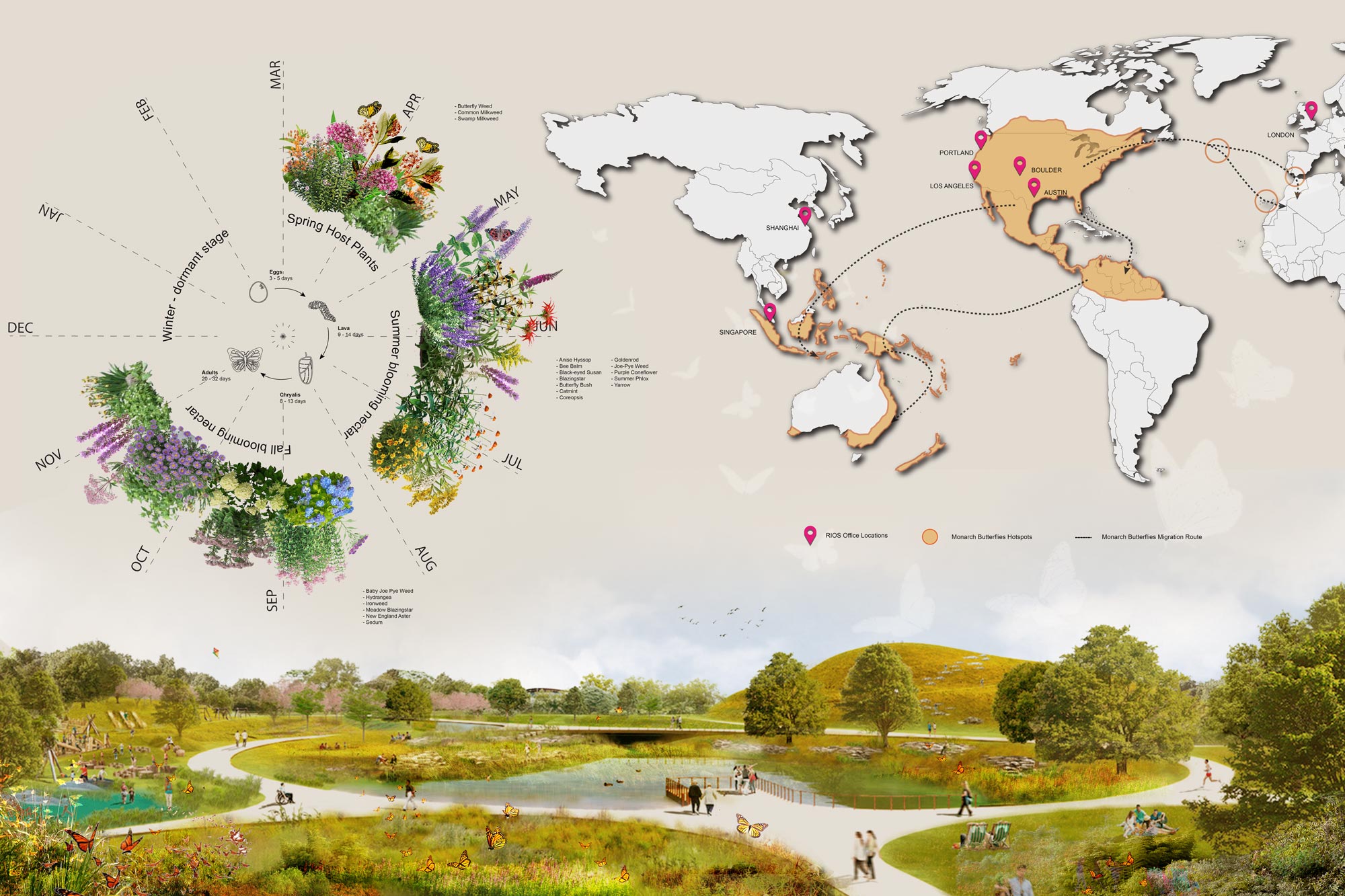 Diagram depicting monarch butterfly migration patterns by geographical location, as well as seasonal plantings that attract them