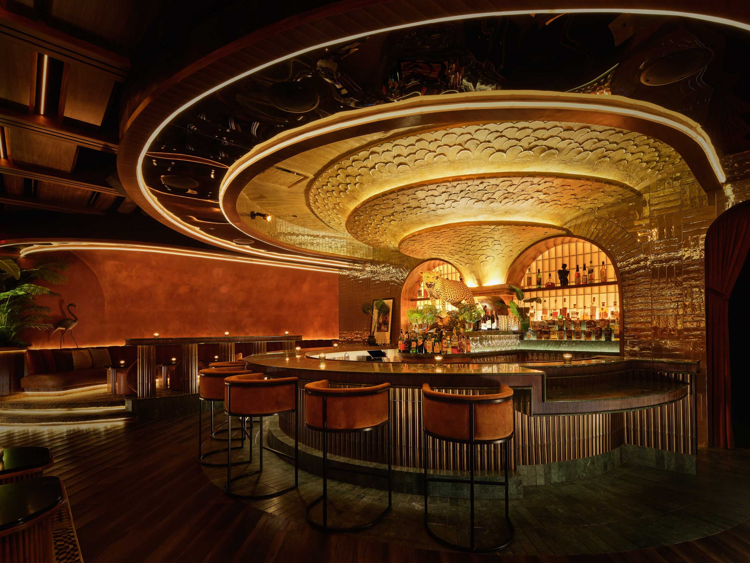 view of bar with taxidermy leopard and golden LED lighting